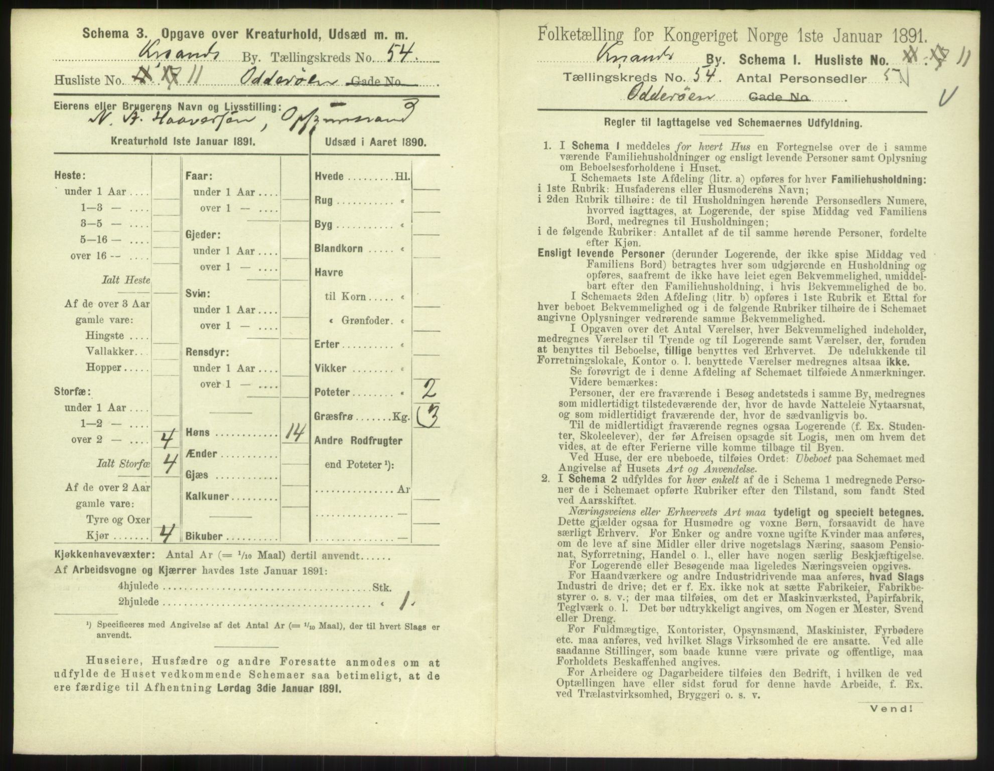 RA, 1891 census for 1001 Kristiansand, 1891, p. 2800