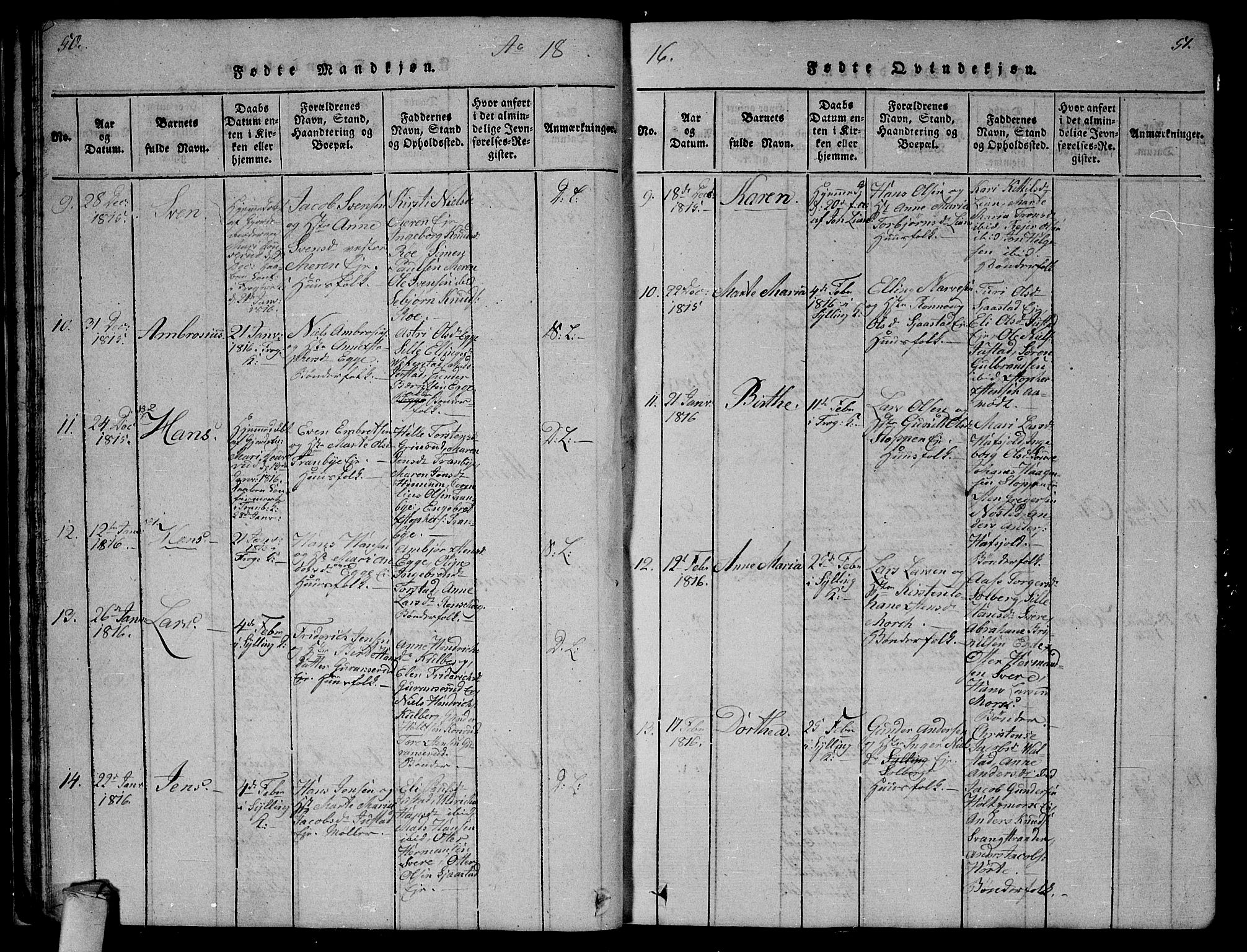 Lier kirkebøker, AV/SAKO-A-230/G/Ga/L0001: Parish register (copy) no. I 1, 1813-1824, p. 50-51