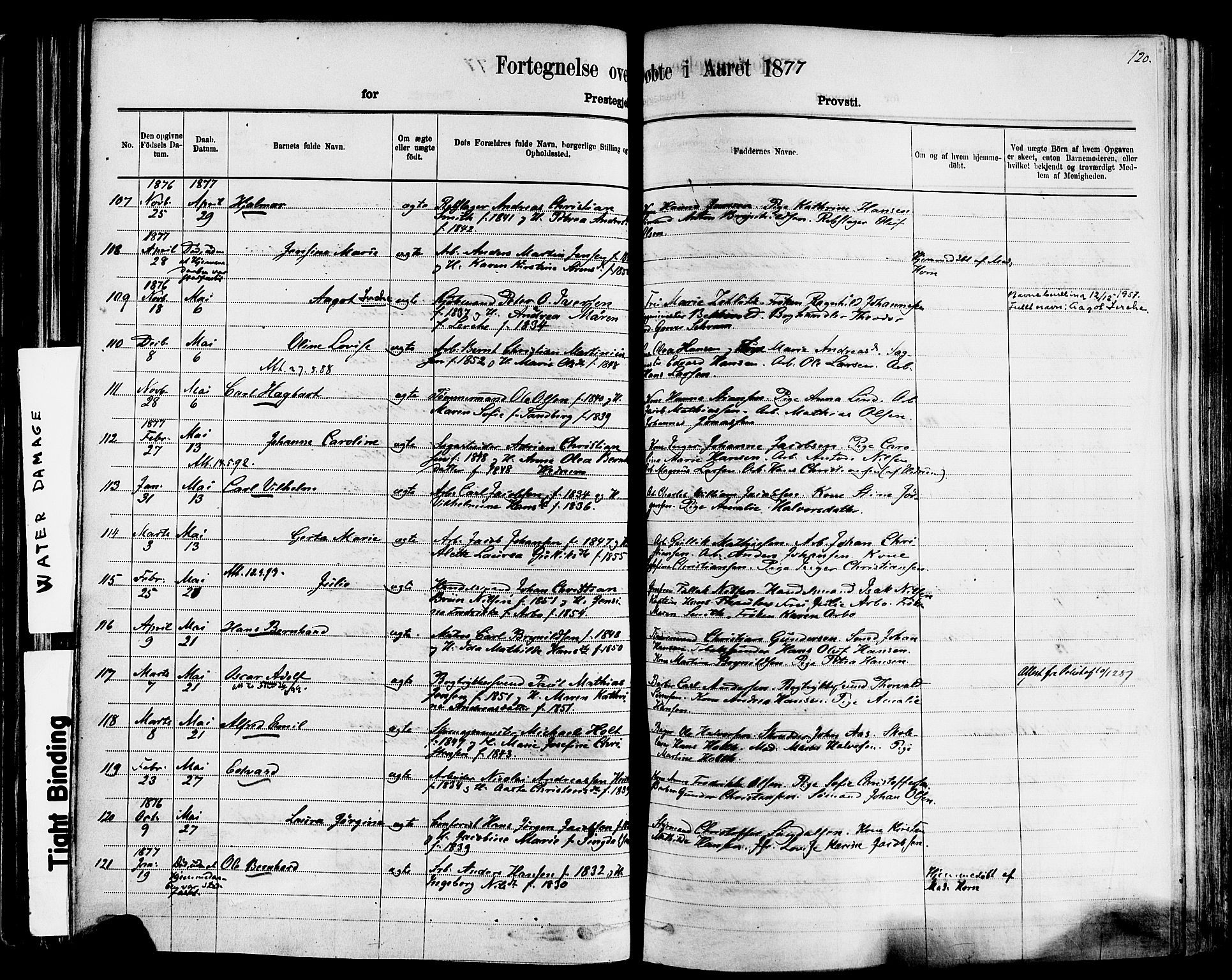 Larvik kirkebøker, AV/SAKO-A-352/F/Fa/L0006: Parish register (official) no. I 6, 1871-1883, p. 120