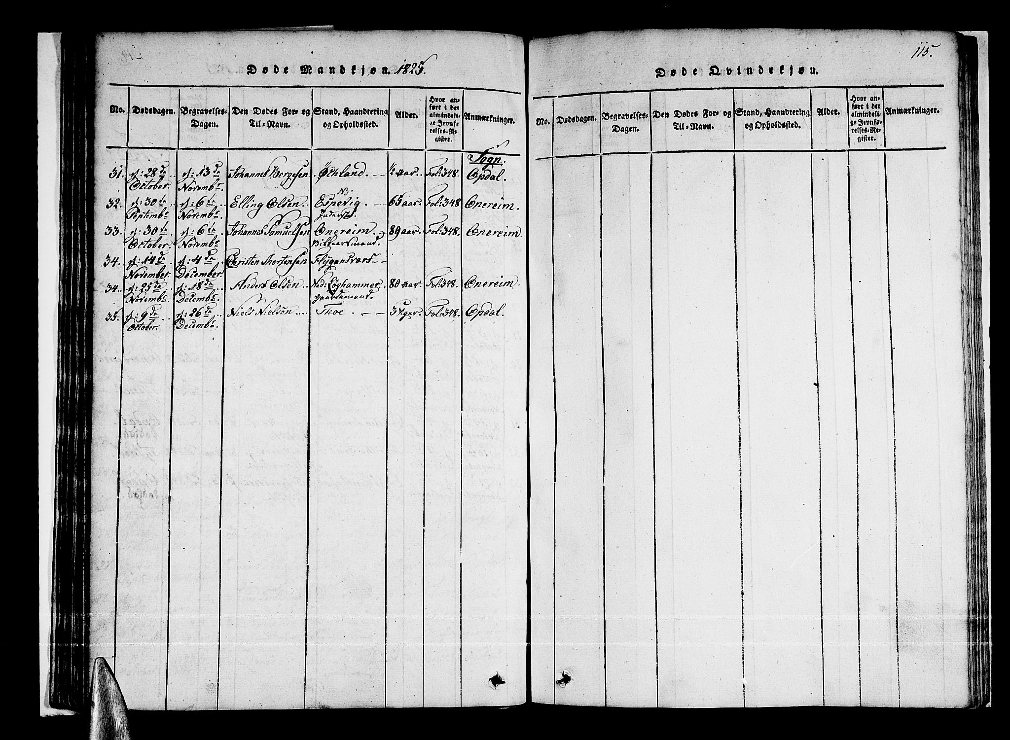 Tysnes sokneprestembete, AV/SAB-A-78601/H/Haa: Parish register (official) no. A 7, 1816-1826, p. 115