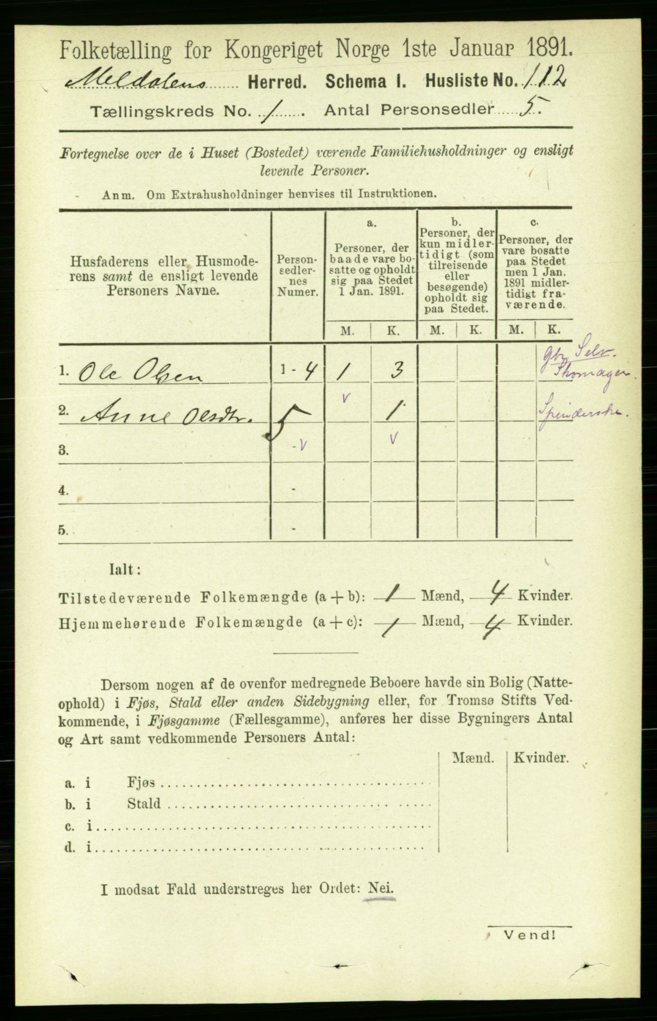 RA, 1891 census for 1636 Meldal, 1891, p. 141