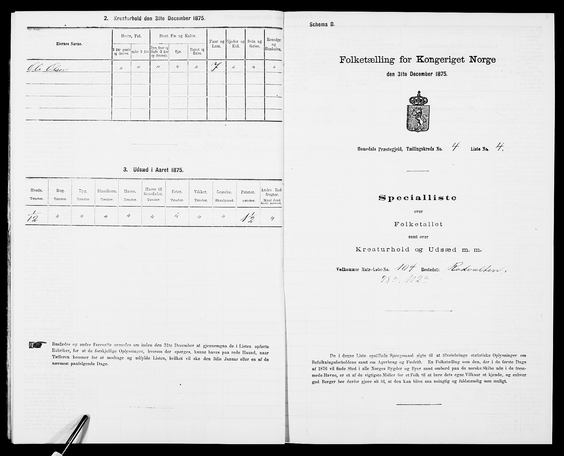 SAK, 1875 census for 0924P Homedal, 1875, p. 807