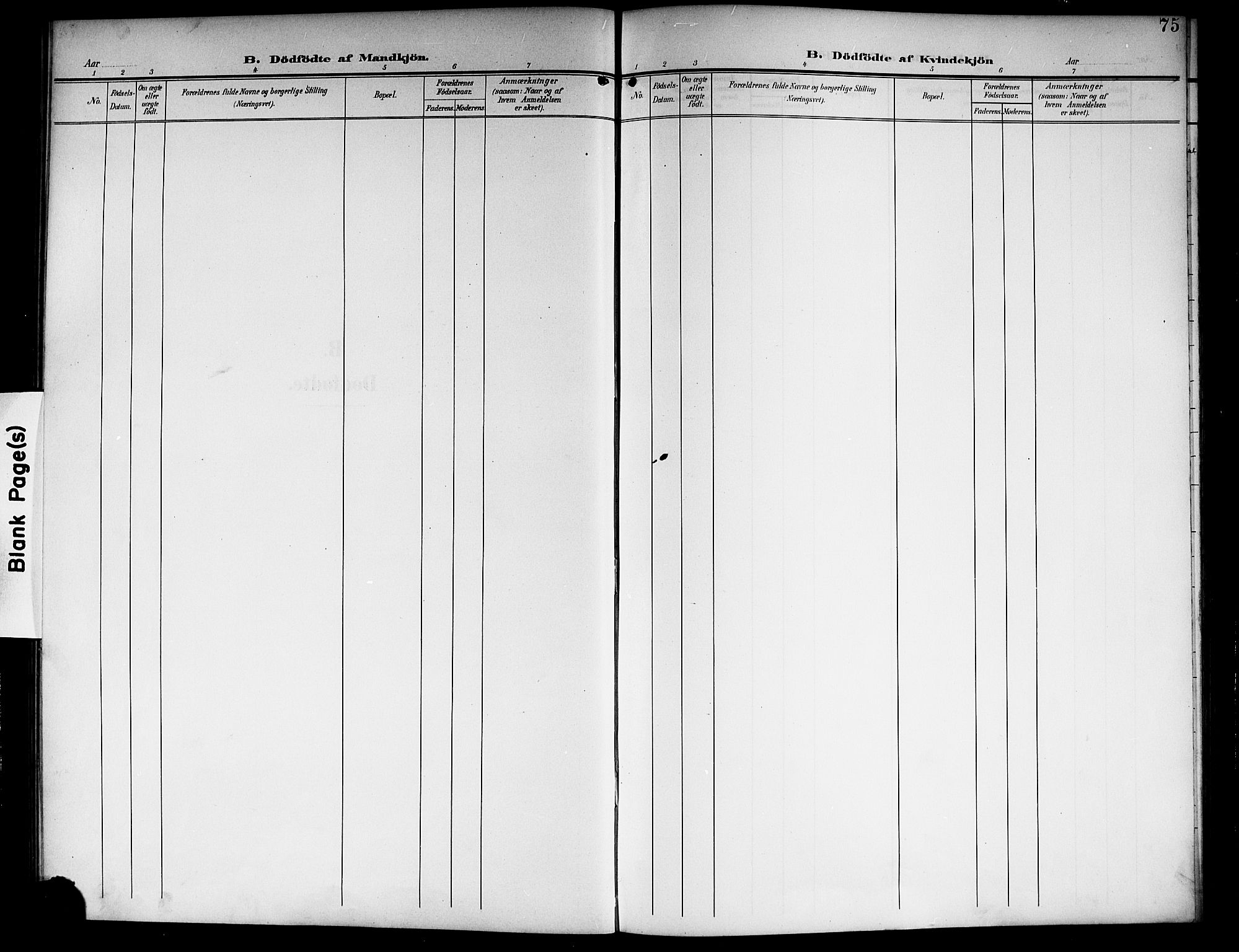 Nore kirkebøker, SAKO/A-238/G/Ga/L0004: Parish register (copy) no. I 4, 1904-1919, p. 75