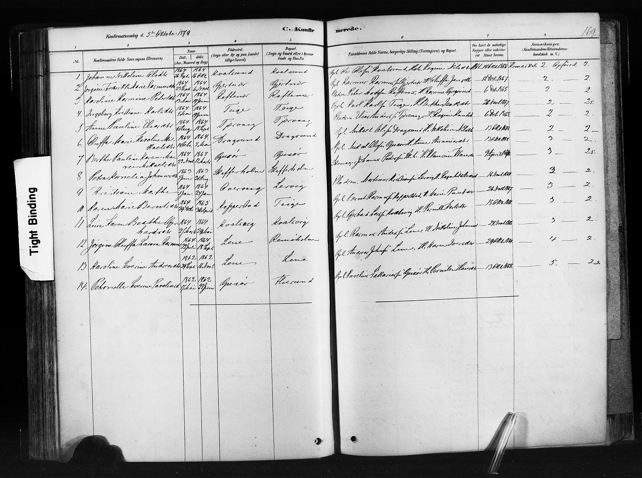 Ministerialprotokoller, klokkerbøker og fødselsregistre - Møre og Romsdal, SAT/A-1454/507/L0073: Parish register (official) no. 507A08, 1878-1904, p. 169
