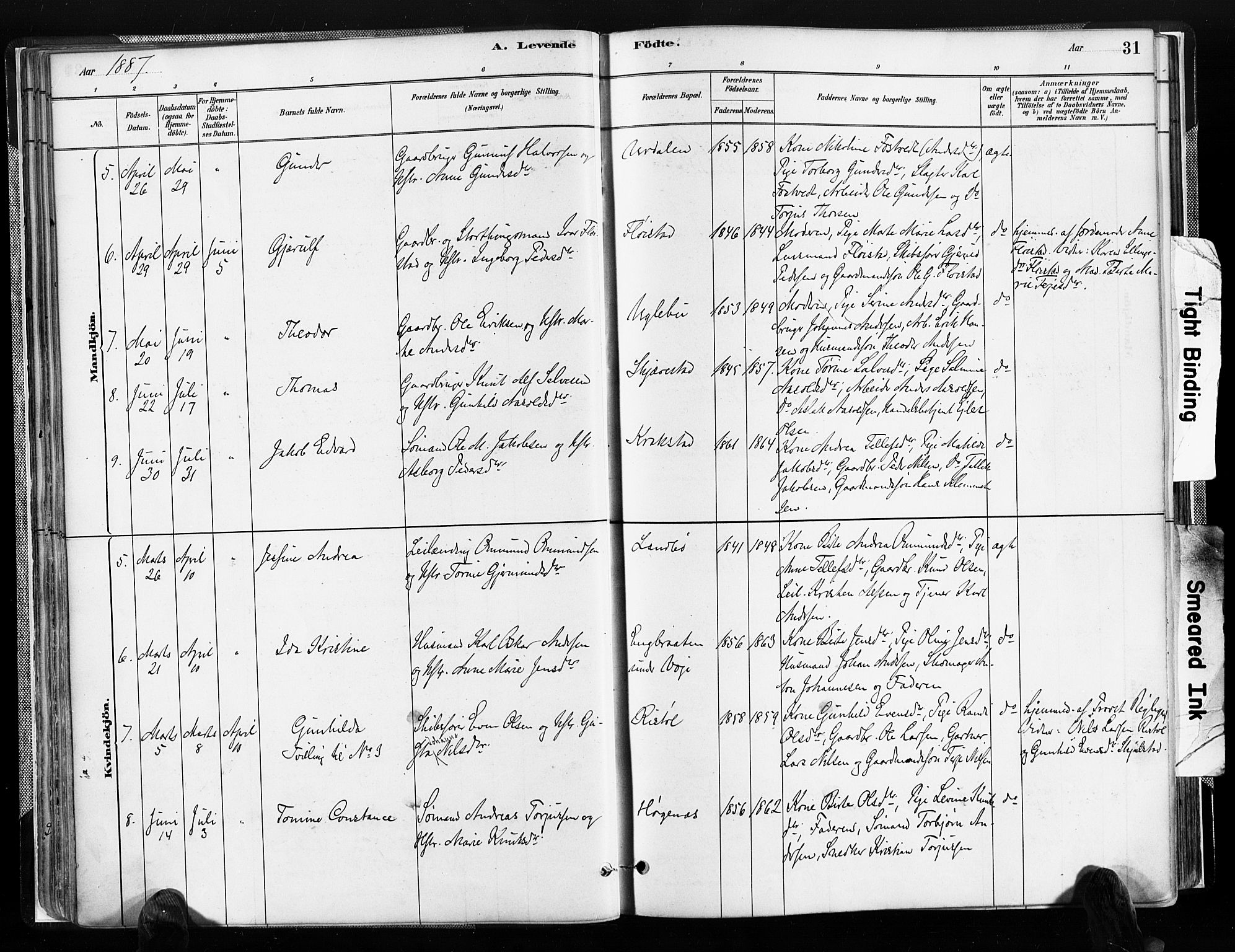 Austre Moland sokneprestkontor, AV/SAK-1111-0001/F/Fa/Faa/L0010: Parish register (official) no. A 10, 1880-1904, p. 31