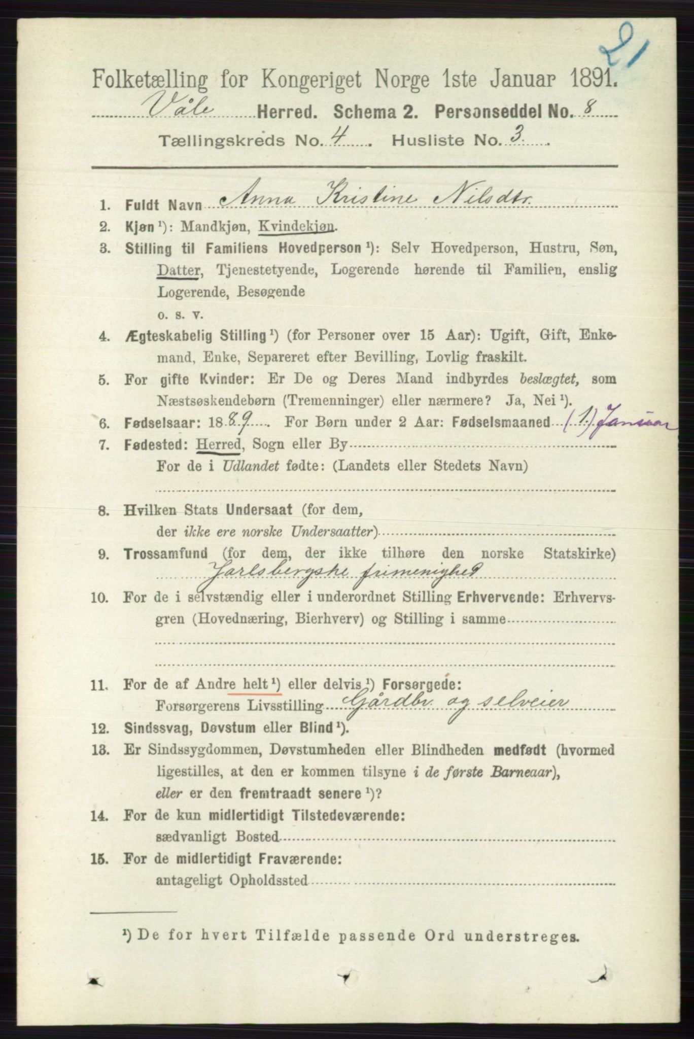 RA, 1891 census for 0716 Våle, 1891, p. 1005
