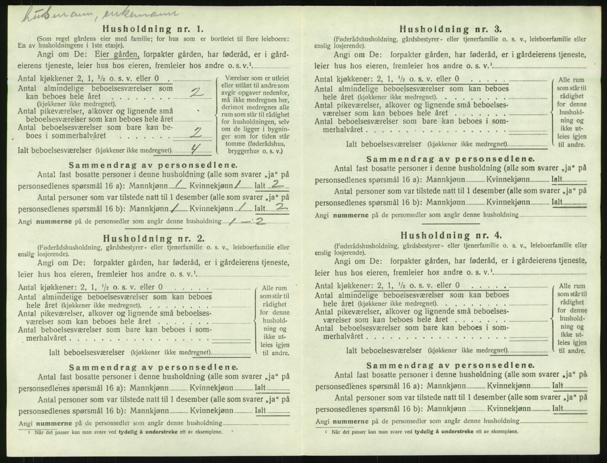 SAT, 1920 census for Rindal, 1920, p. 283