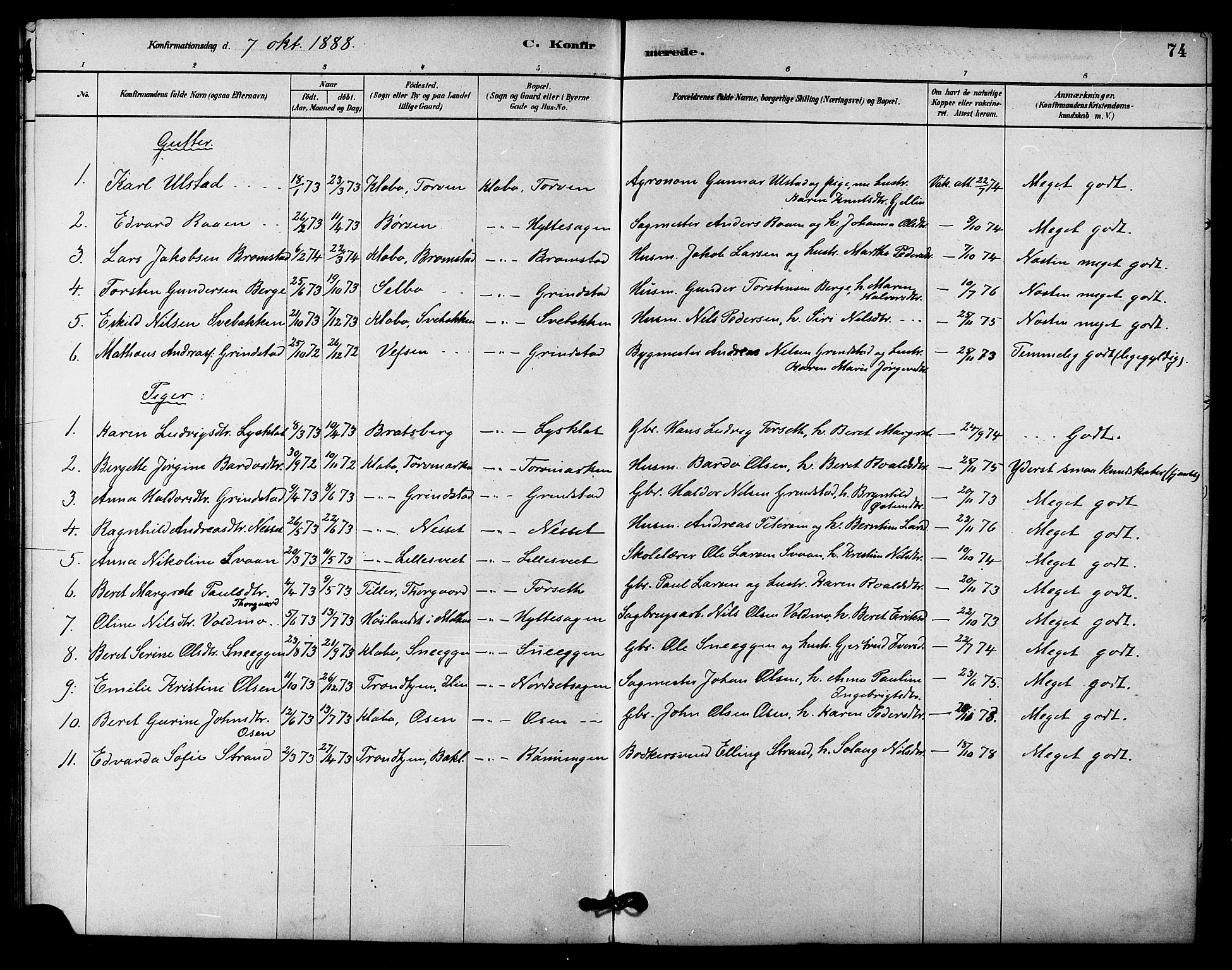 Ministerialprotokoller, klokkerbøker og fødselsregistre - Sør-Trøndelag, SAT/A-1456/618/L0444: Parish register (official) no. 618A07, 1880-1898, p. 74