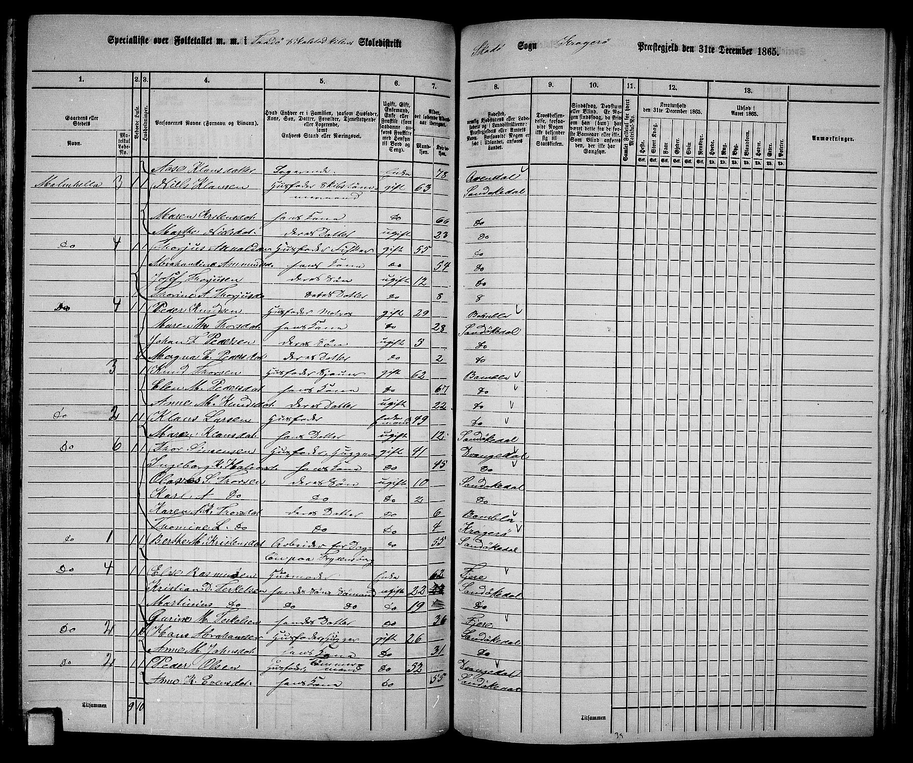 RA, 1865 census for Kragerø/Sannidal og Skåtøy, 1865, p. 133