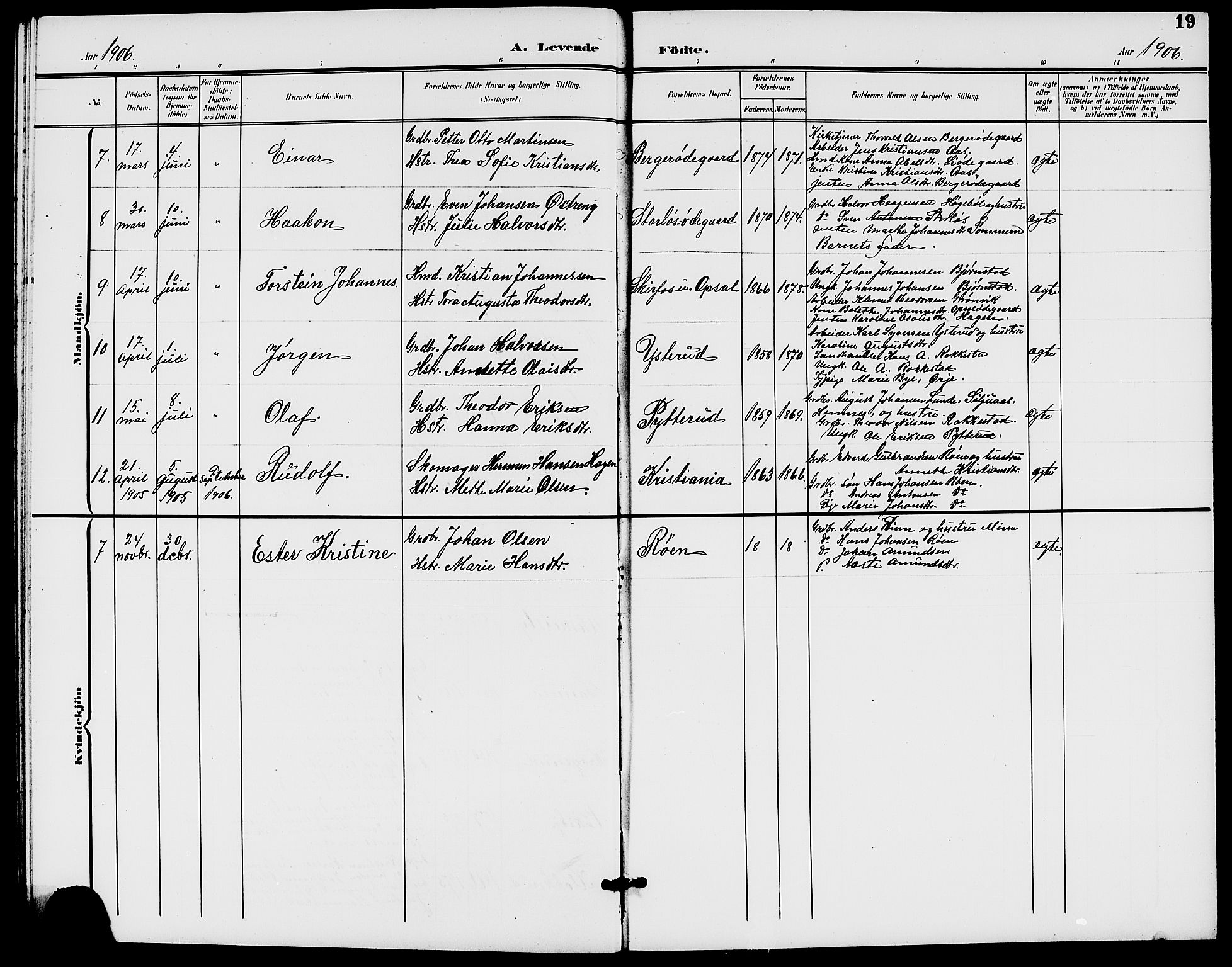 Rødenes prestekontor Kirkebøker, AV/SAO-A-2005/G/Ga/L0002: Parish register (copy) no. I 2, 1901-1910, p. 19