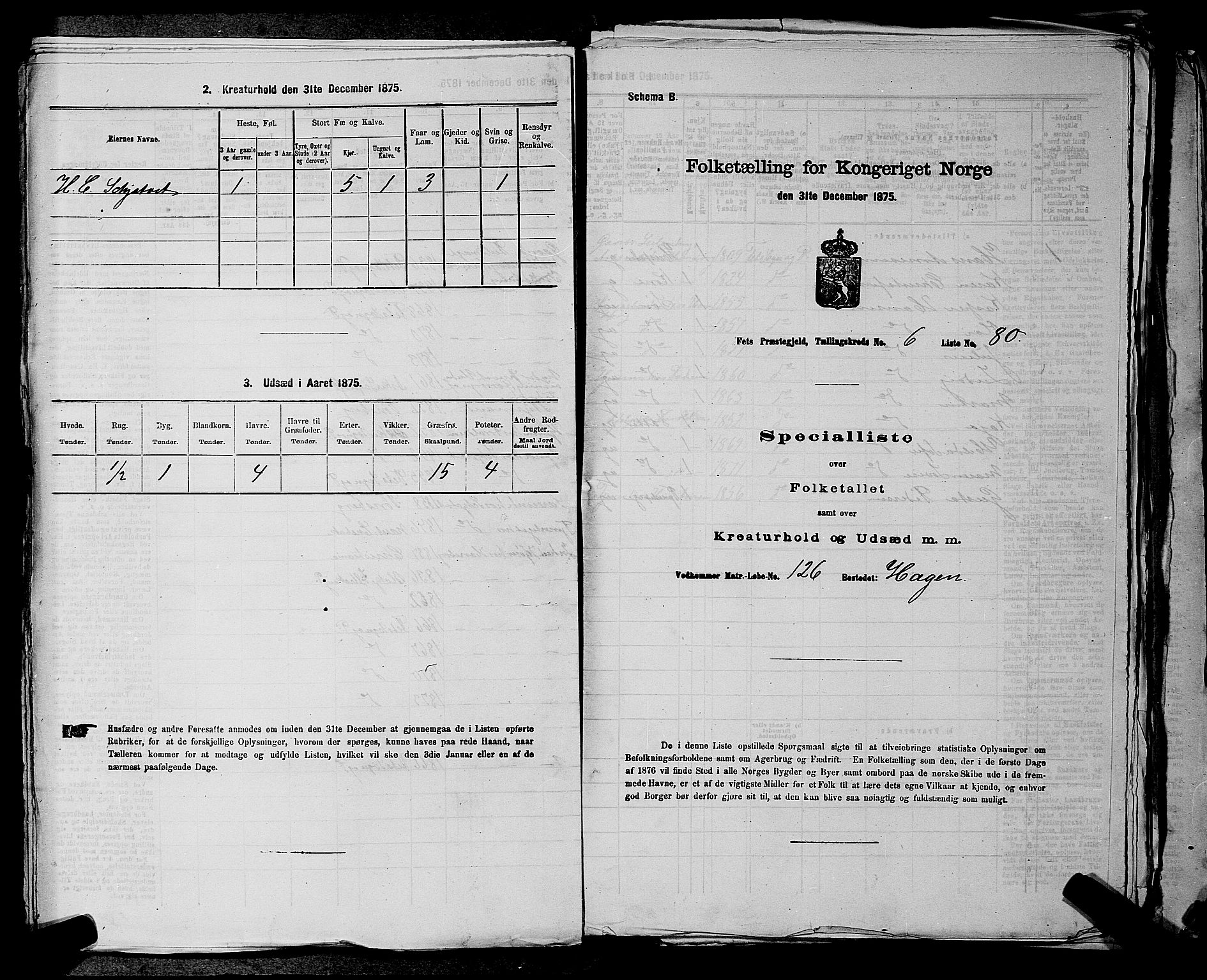 RA, 1875 census for 0227P Fet, 1875, p. 966