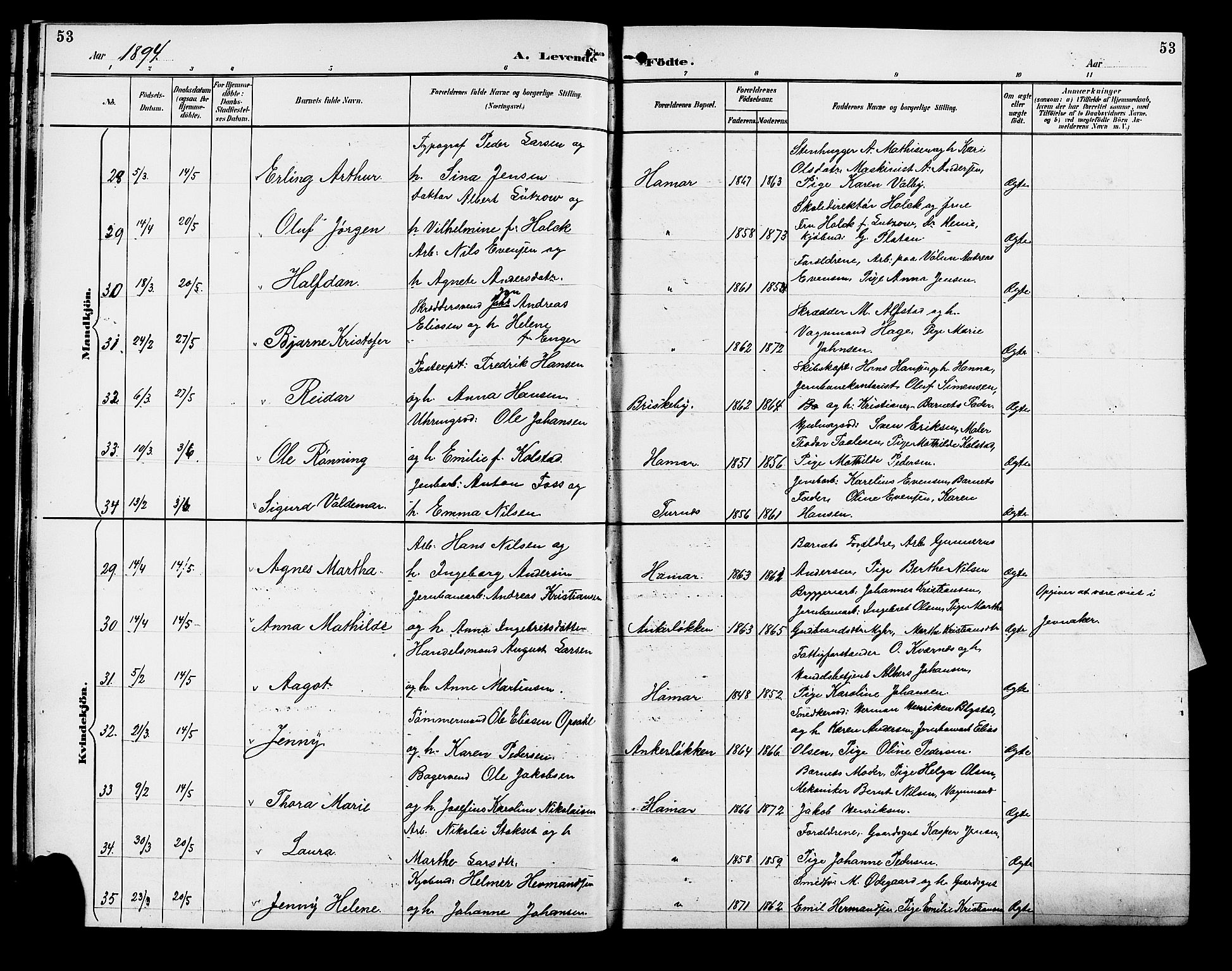 Vang prestekontor, Hedmark, AV/SAH-PREST-008/H/Ha/Hab/L0013: Parish register (copy) no. 13, 1890-1899, p. 53