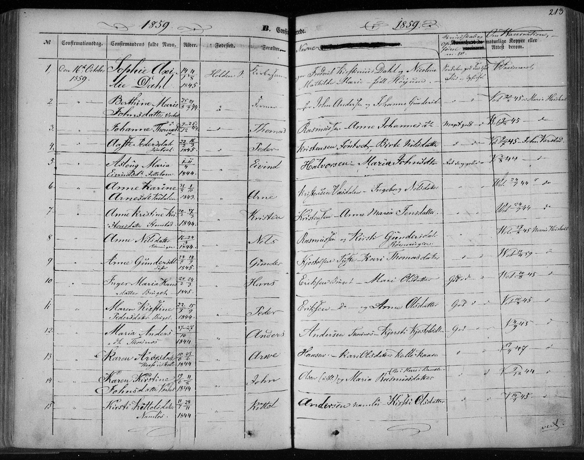 Holla kirkebøker, AV/SAKO-A-272/F/Fa/L0005: Parish register (official) no. 5, 1849-1860, p. 213