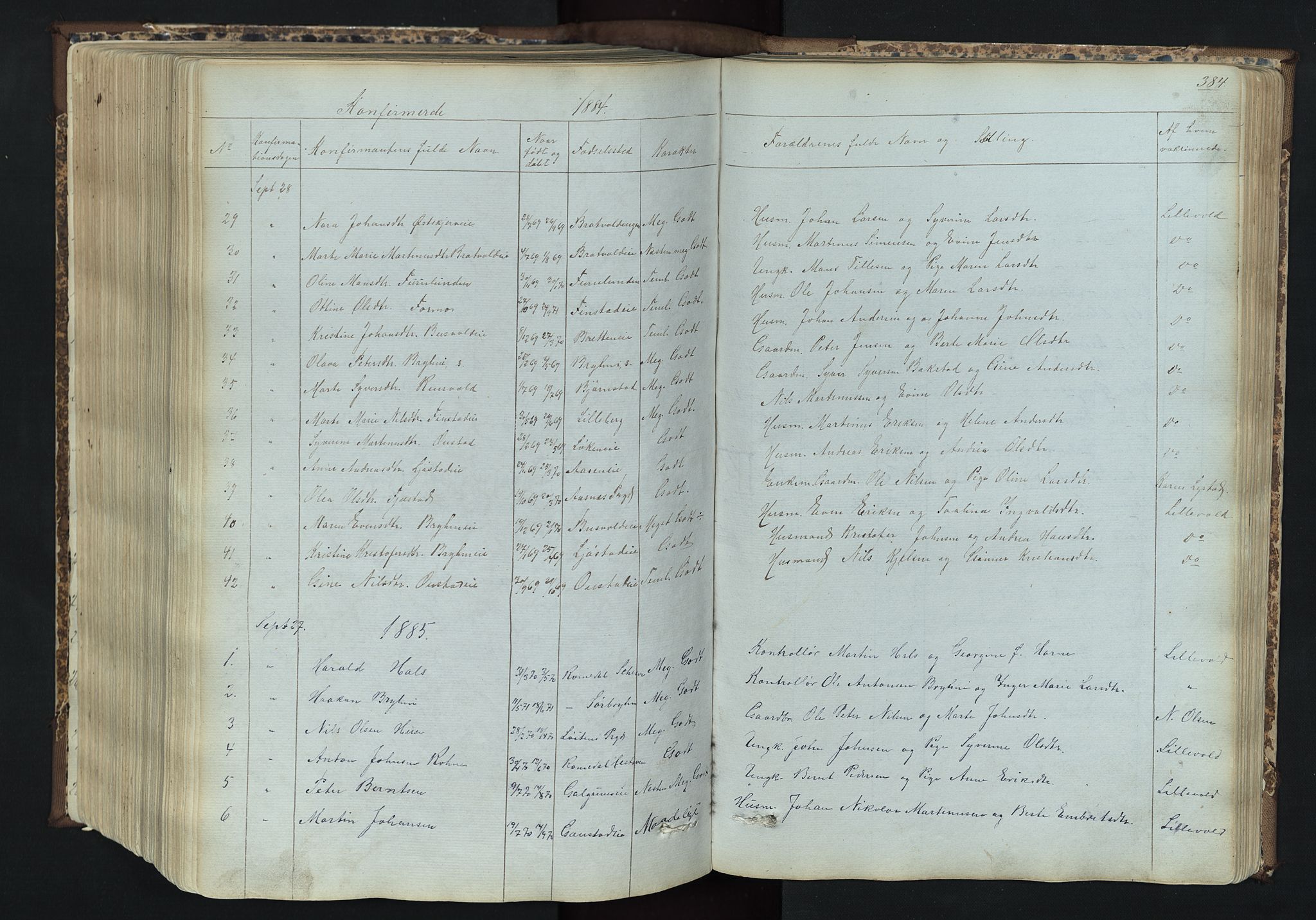 Romedal prestekontor, SAH/PREST-004/L/L0011: Parish register (copy) no. 11, 1867-1895, p. 384