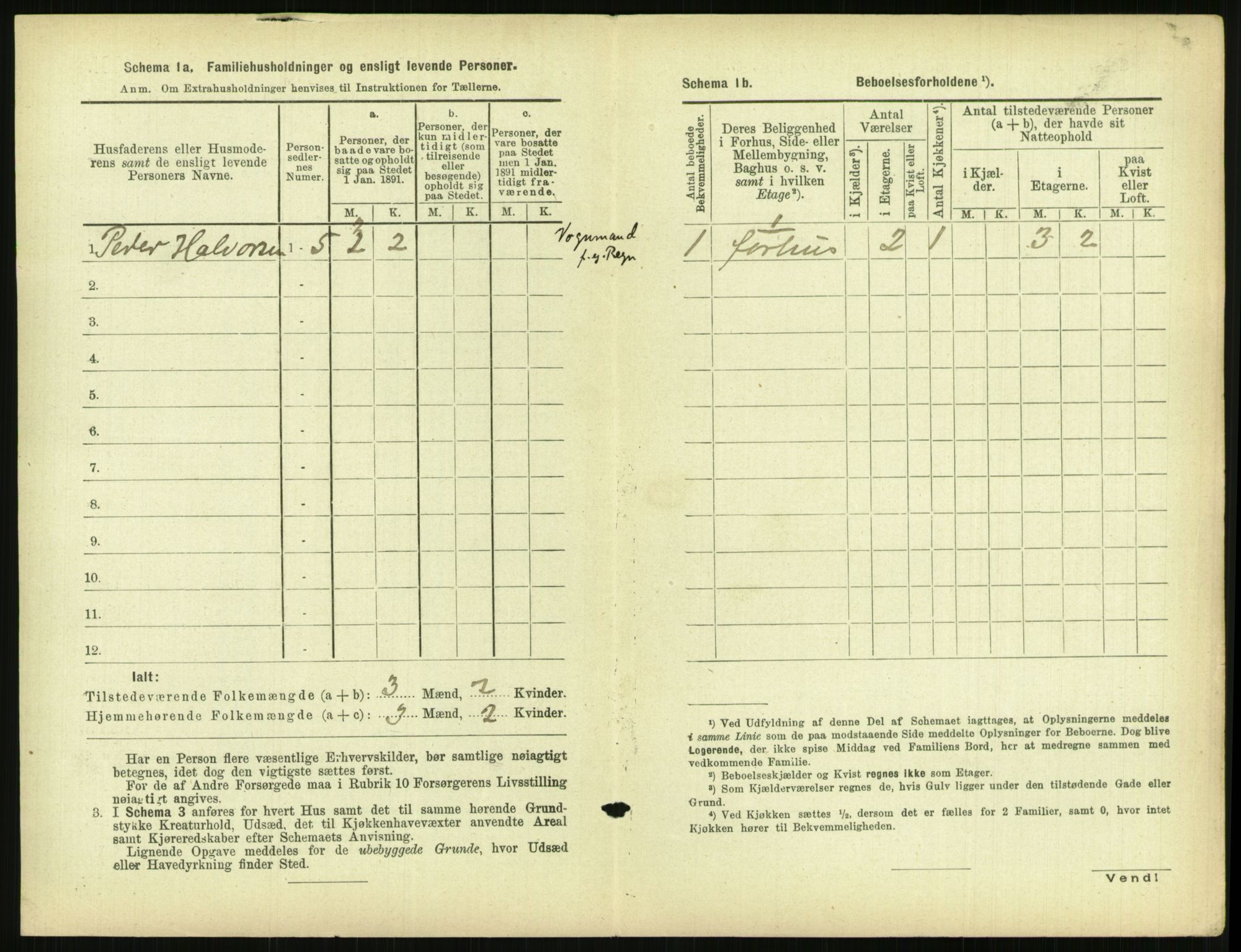 RA, 1891 census for 0806 Skien, 1891, p. 1977