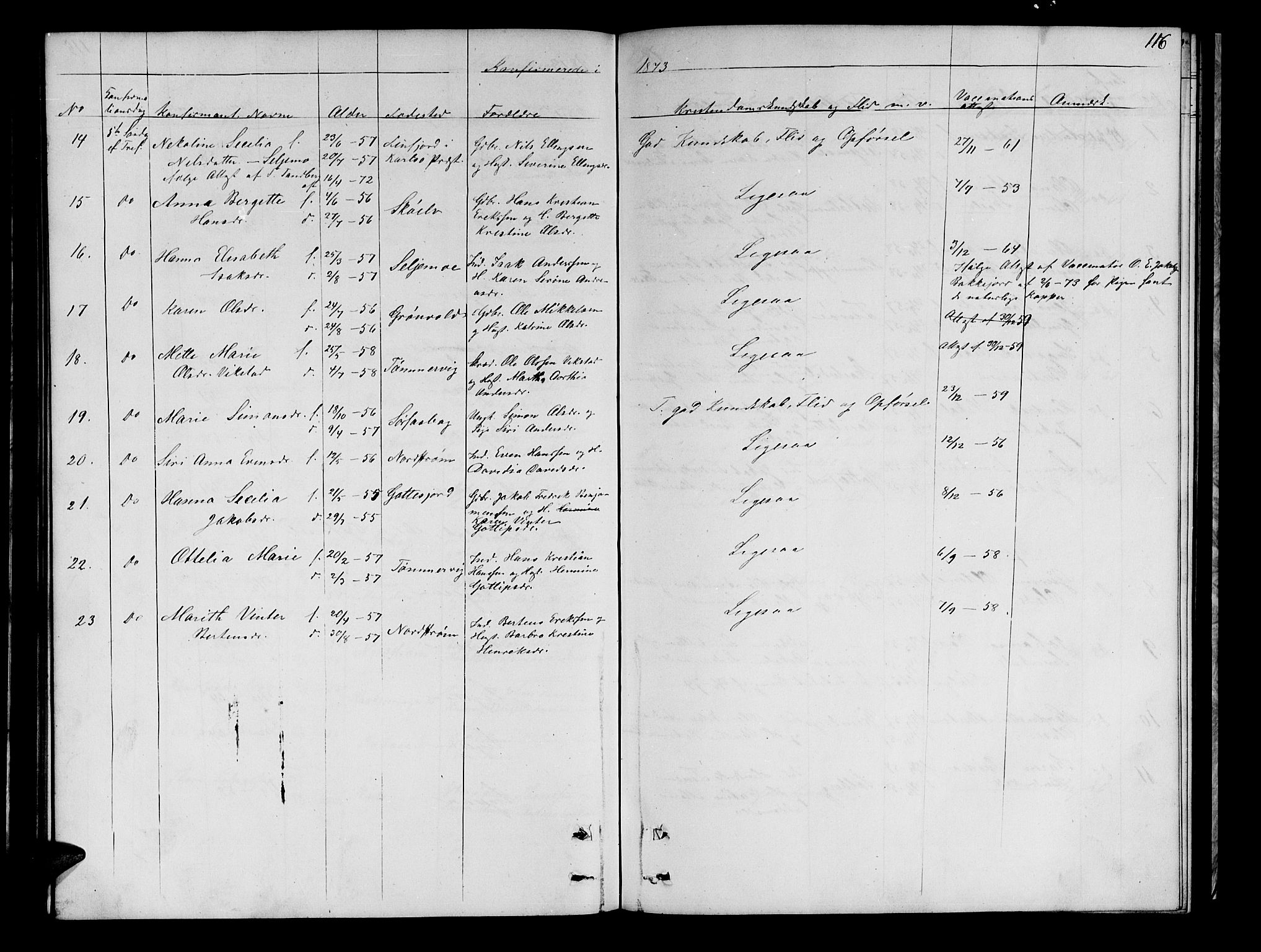 Tranøy sokneprestkontor, AV/SATØ-S-1313/I/Ia/Iab/L0021klokker: Parish register (copy) no. 21, 1861-1886, p. 116