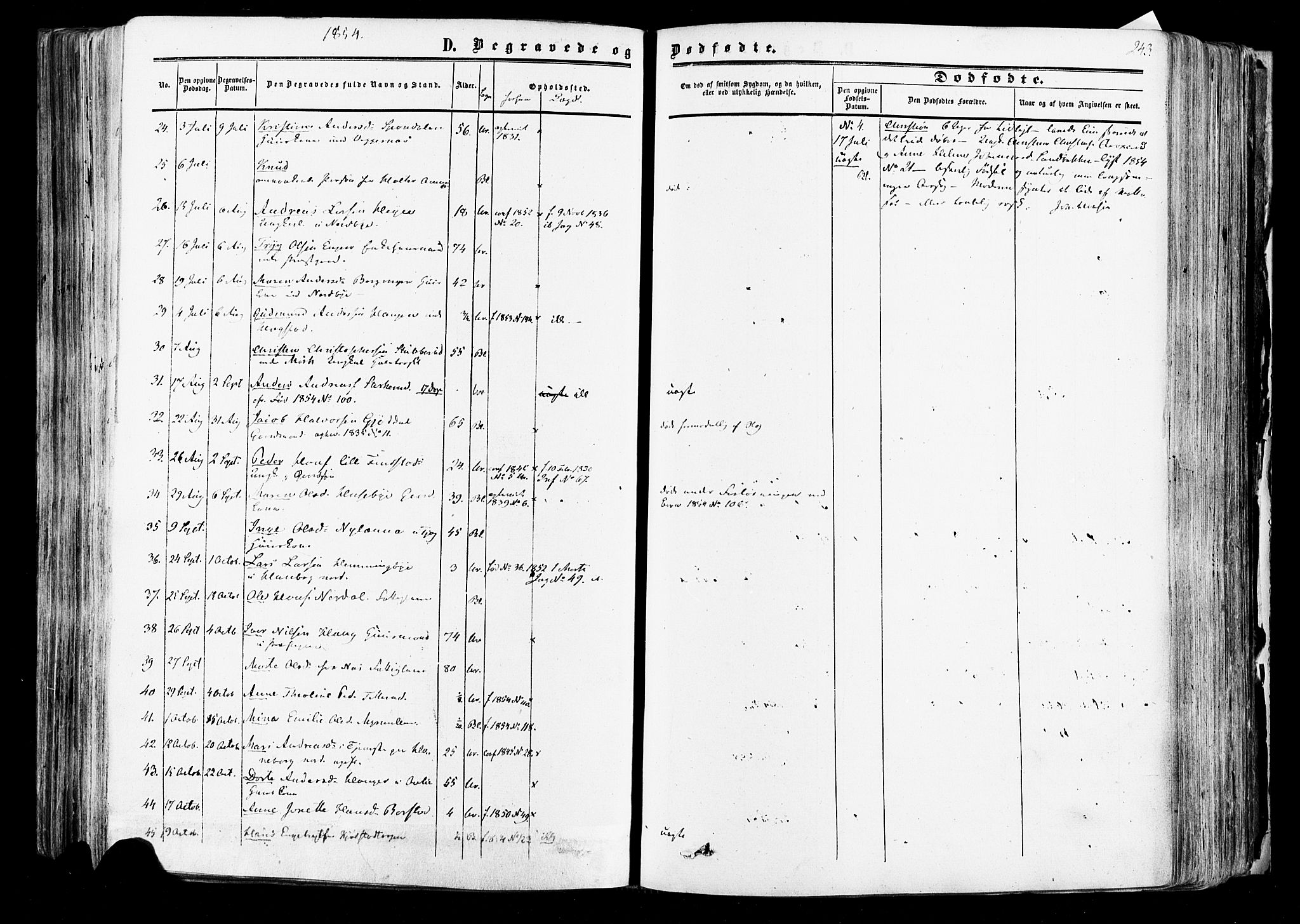 Aurskog prestekontor Kirkebøker, SAO/A-10304a/F/Fa/L0007: Parish register (official) no. I 7, 1854-1877, p. 243