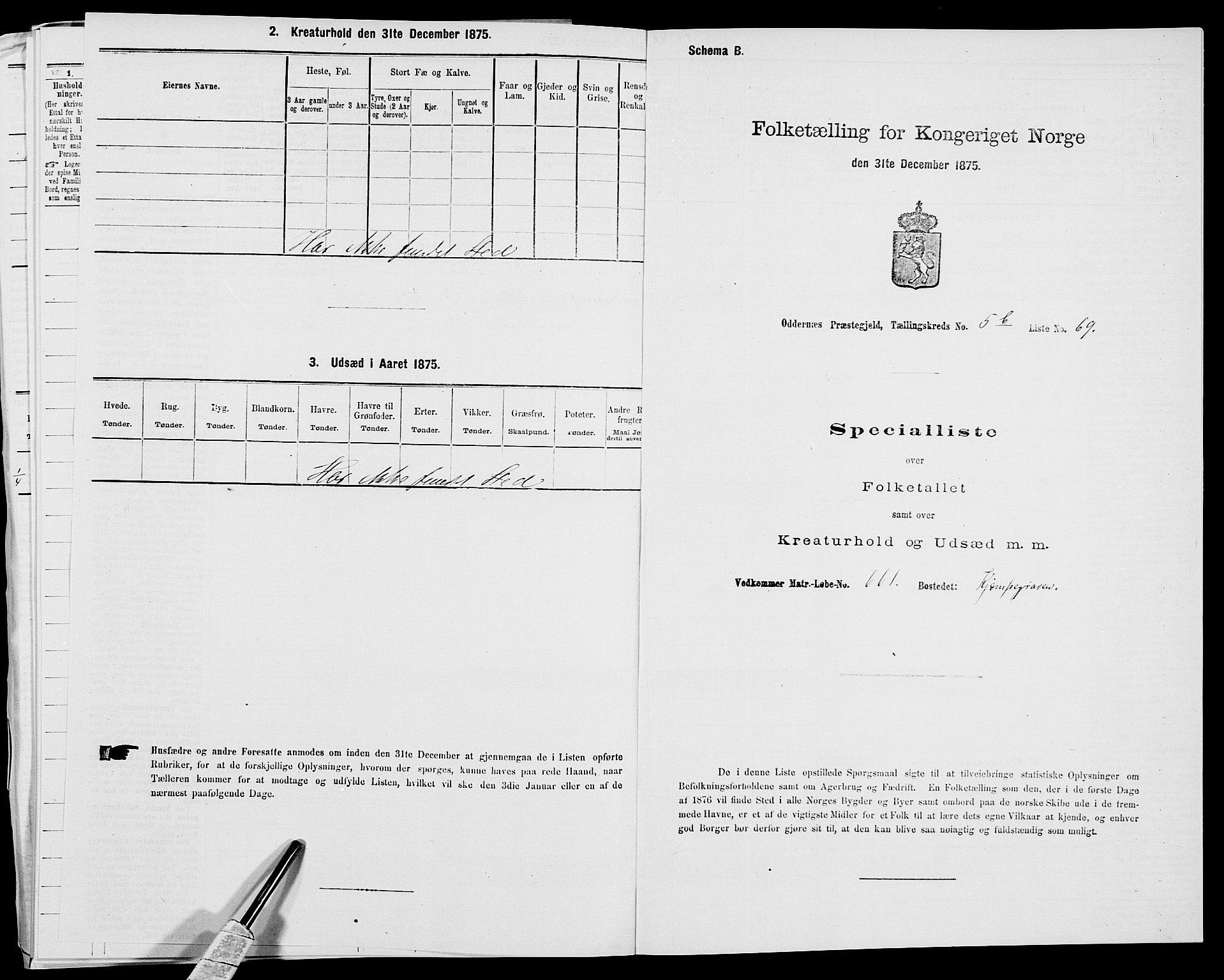 SAK, 1875 census for 1012P Oddernes, 1875, p. 984