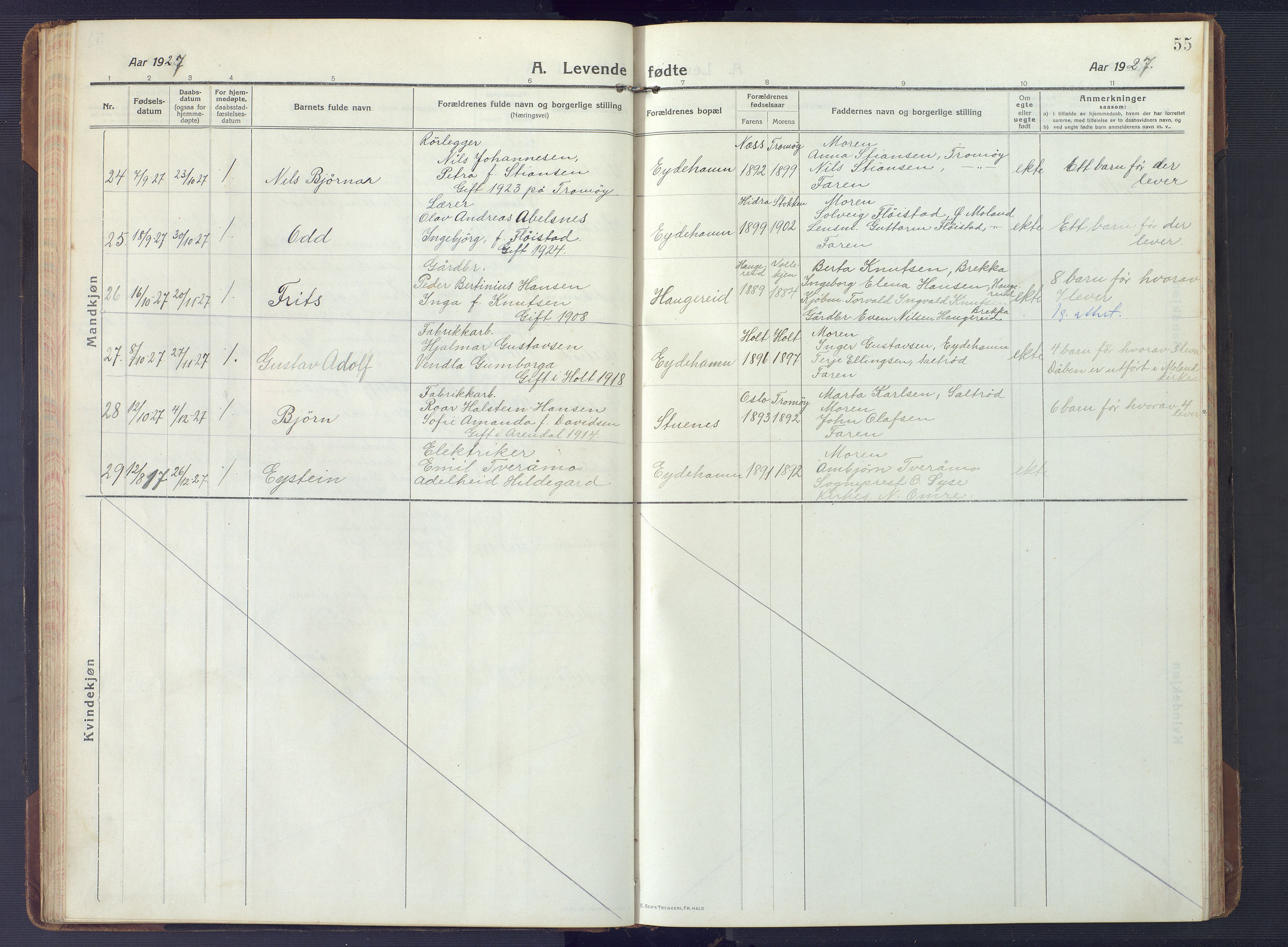 Austre Moland sokneprestkontor, AV/SAK-1111-0001/F/Fb/Fbb/L0004: Parish register (copy) no. B 4, 1914-1929, p. 55