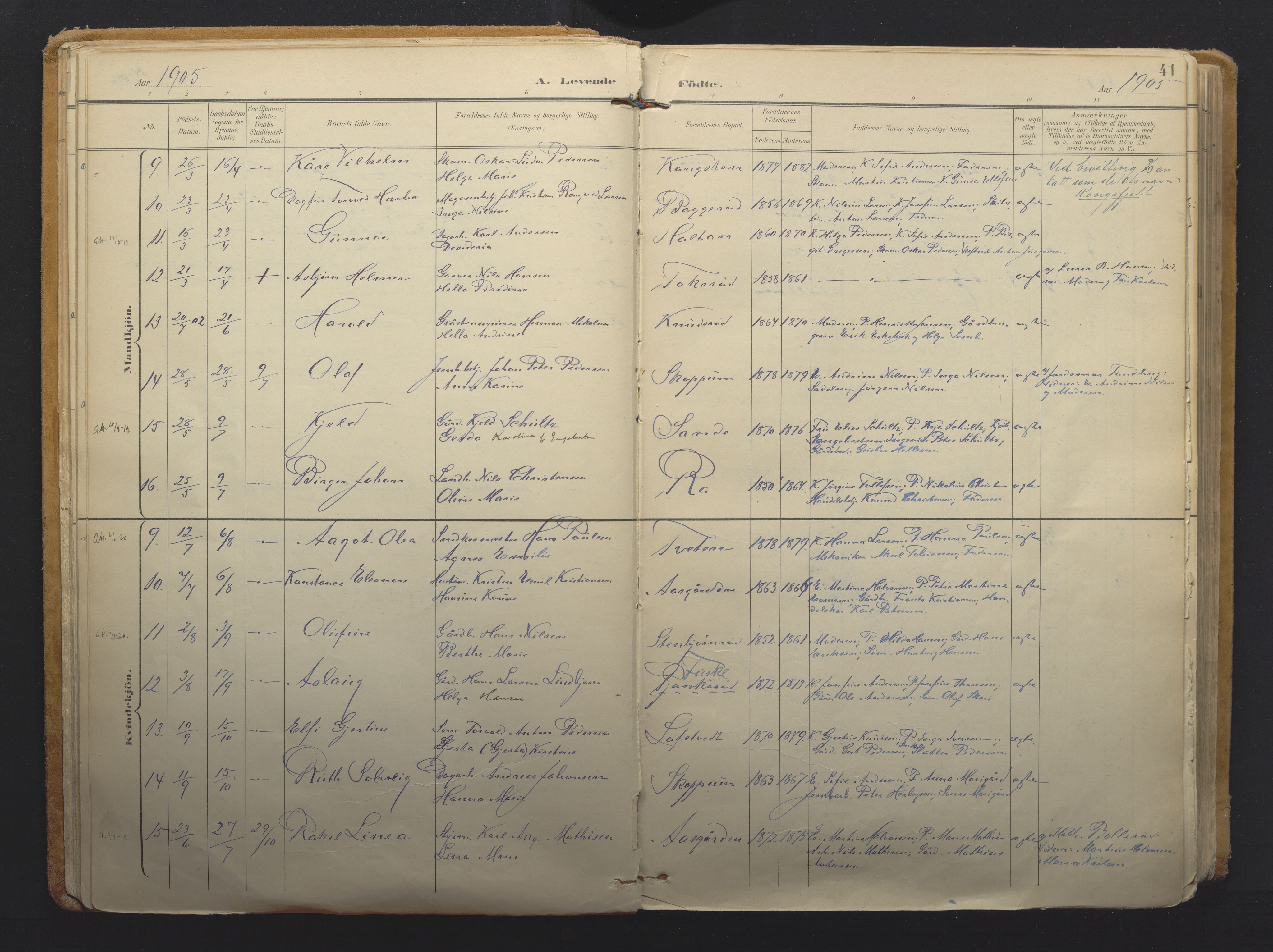 Borre kirkebøker, AV/SAKO-A-338/F/Fa/L0011: Parish register (official) no. I 11, 1897-1921, p. 41