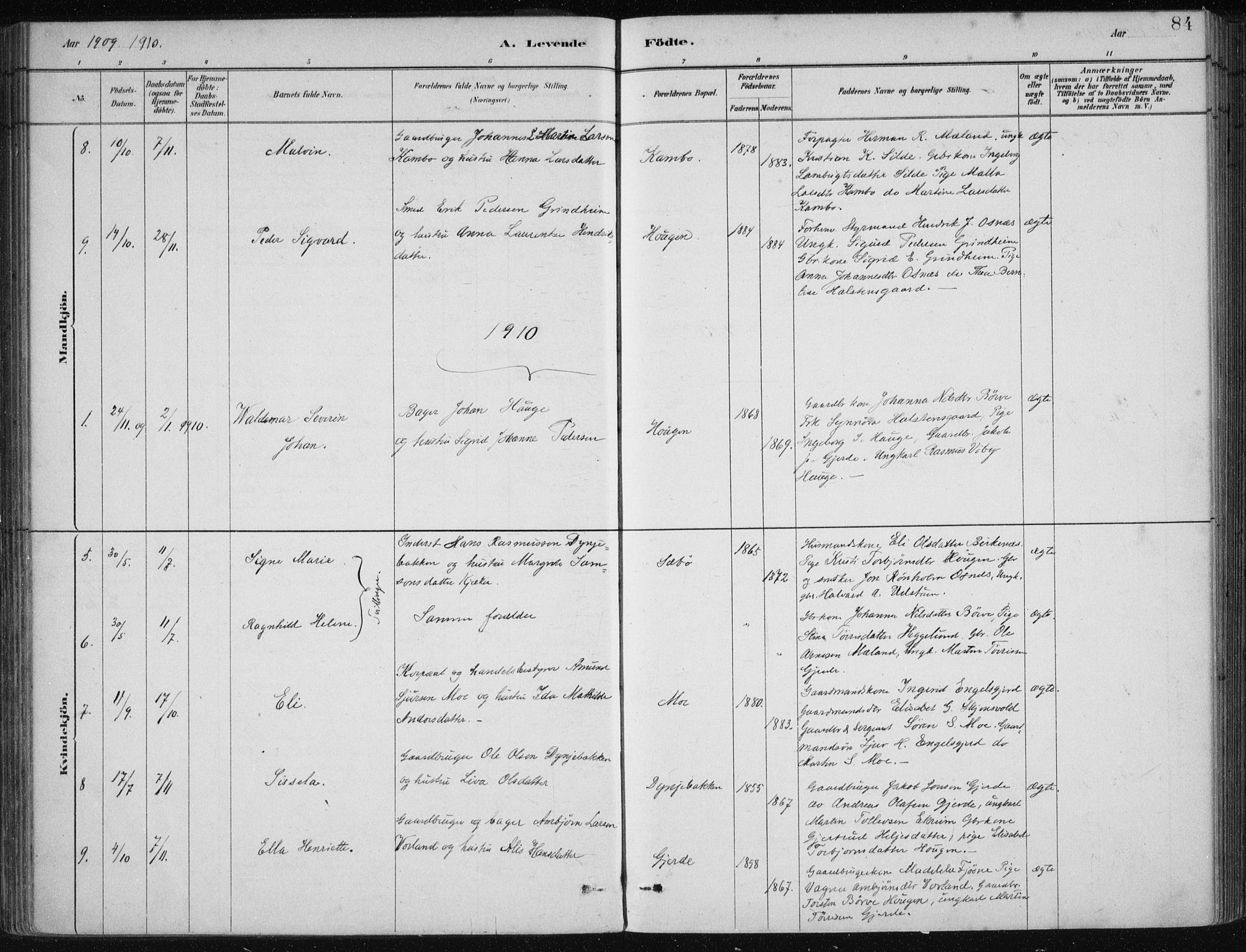 Etne sokneprestembete, SAB/A-75001/H/Haa: Parish register (official) no. C  1, 1879-1919, p. 84