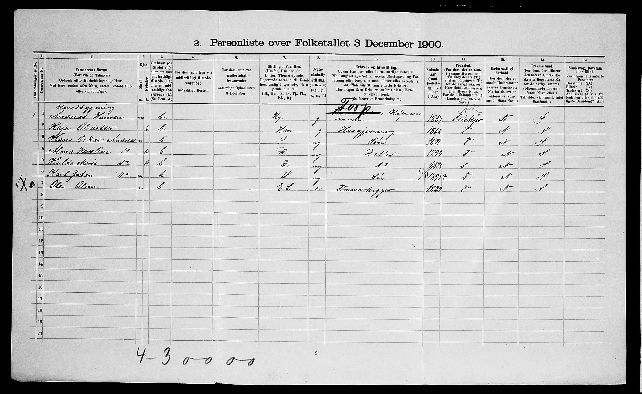 SAO, 1900 census for Nes, 1900