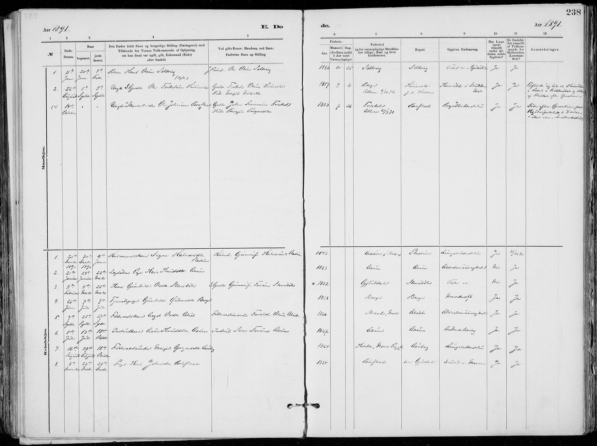 Tinn kirkebøker, SAKO/A-308/F/Fa/L0007: Parish register (official) no. I 7, 1878-1922, p. 238