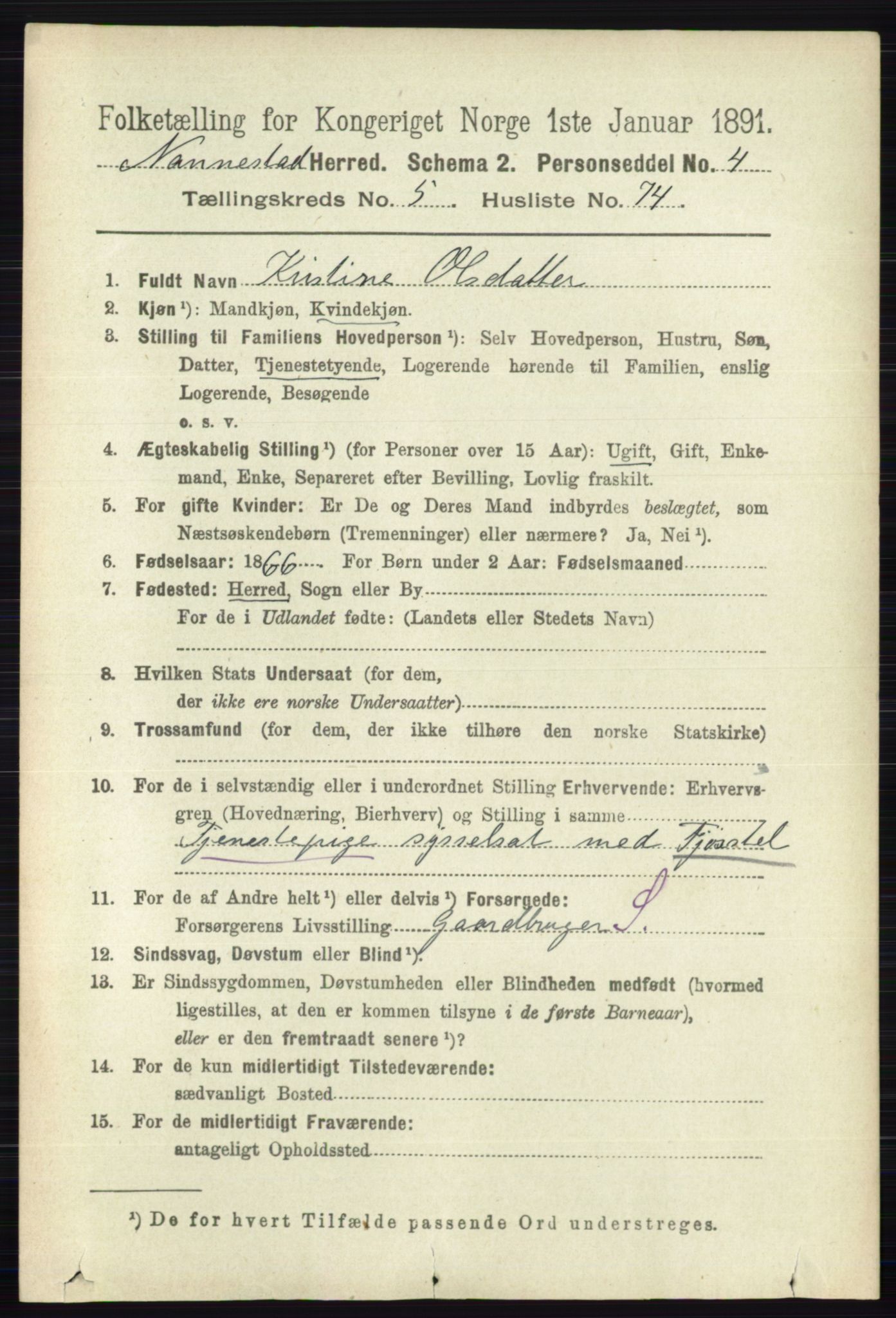 RA, 1891 census for 0238 Nannestad, 1891, p. 2991
