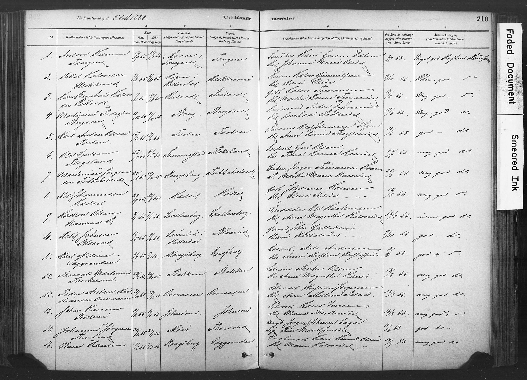 Sandsvær kirkebøker, AV/SAKO-A-244/F/Fd/L0001: Parish register (official) no. IV 1, 1878-1906, p. 210