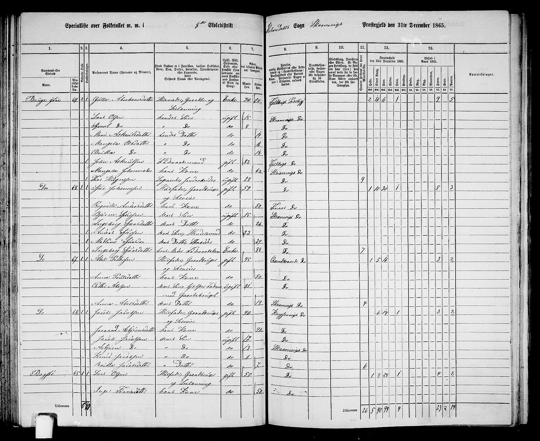 RA, 1865 census for Skånevik, 1865, p. 116