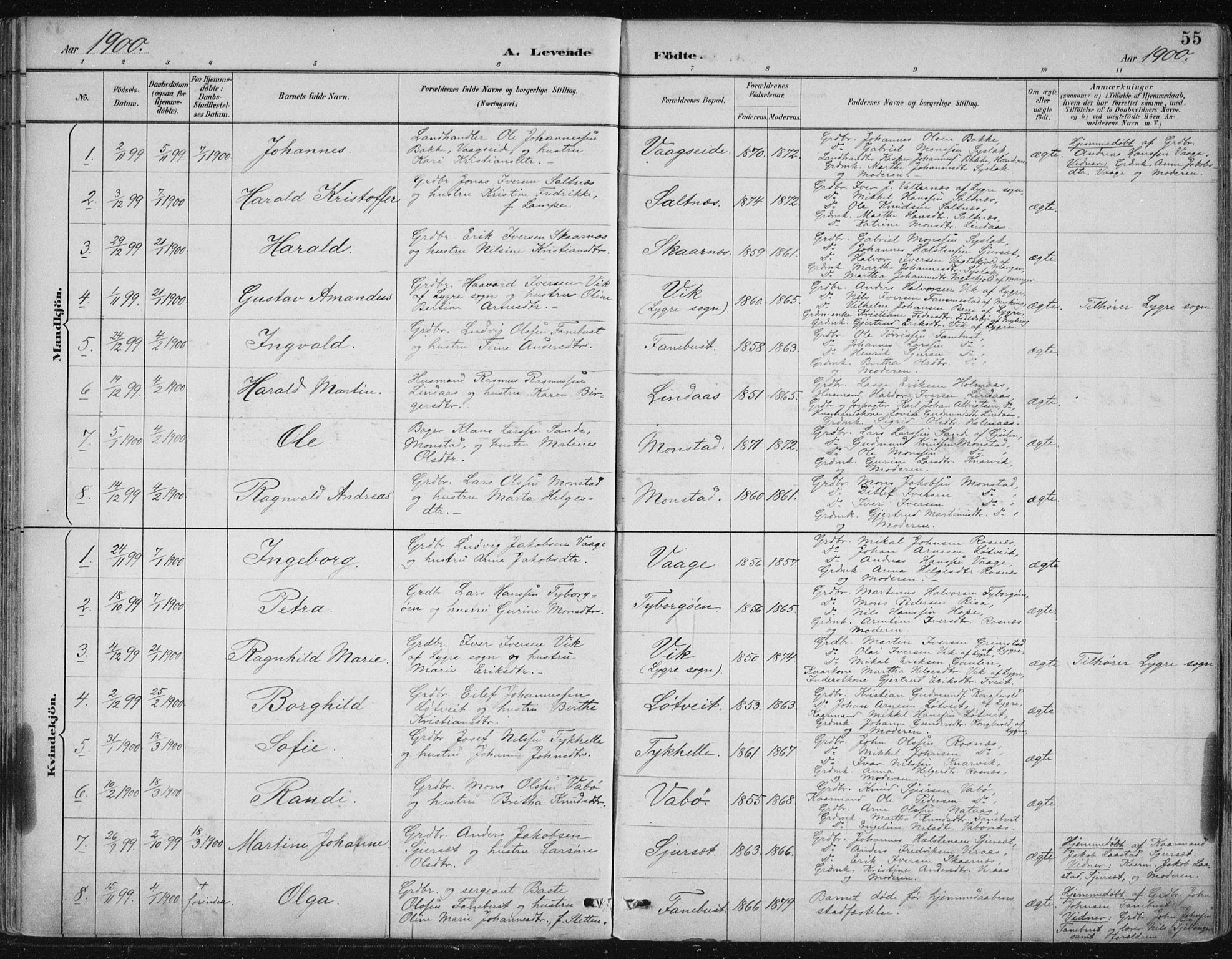 Lindås Sokneprestembete, SAB/A-76701/H/Hab: Parish register (copy) no. B 3, 1886-1914, p. 55