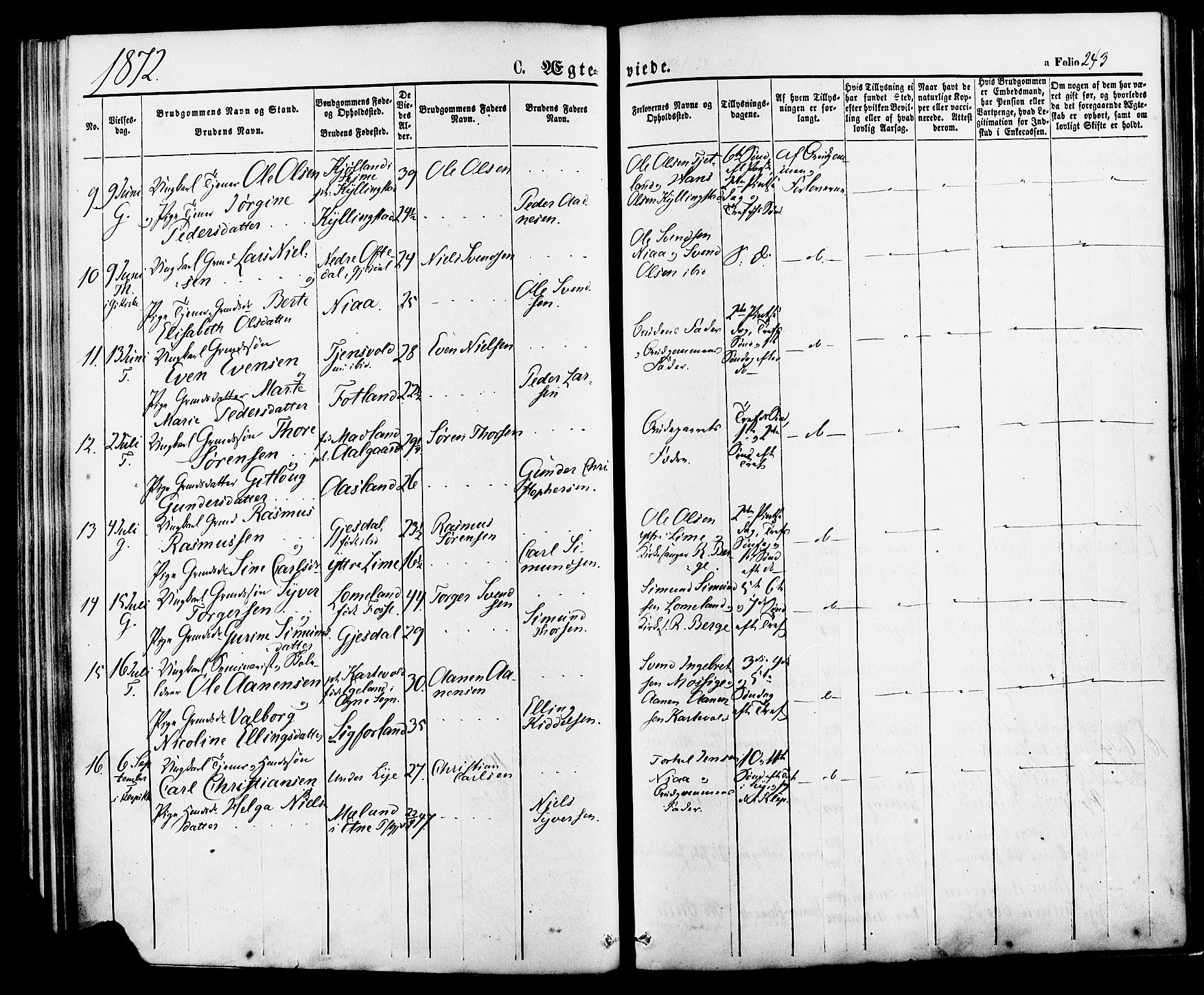 Lye sokneprestkontor, AV/SAST-A-101794/001/30BA/L0008: Parish register (official) no. A 7, 1872-1881, p. 243