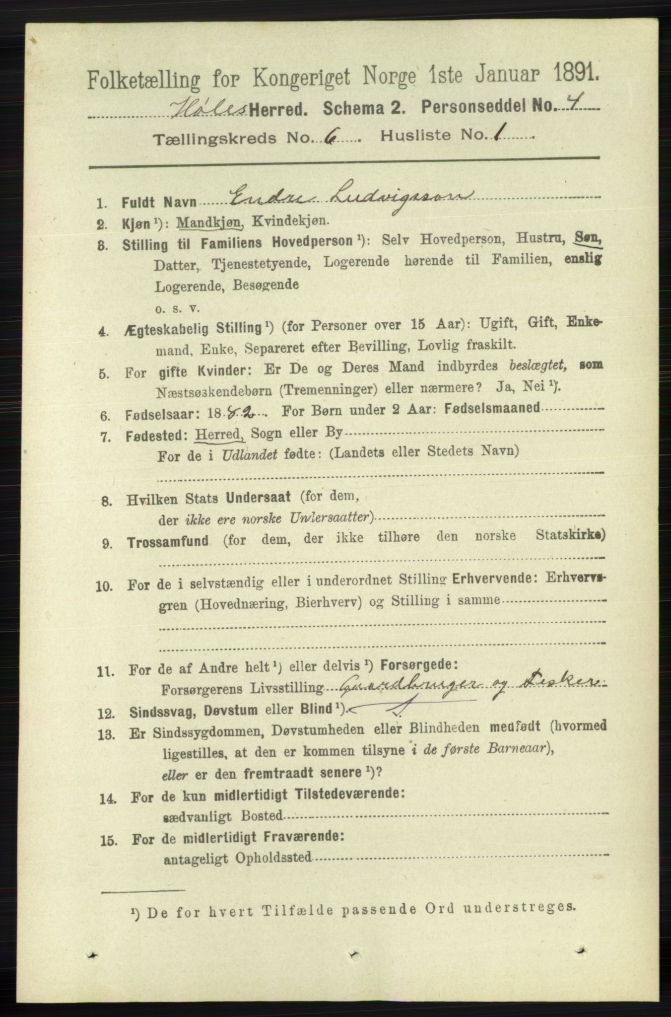 RA, 1891 census for 1128 Høle, 1891, p. 1295