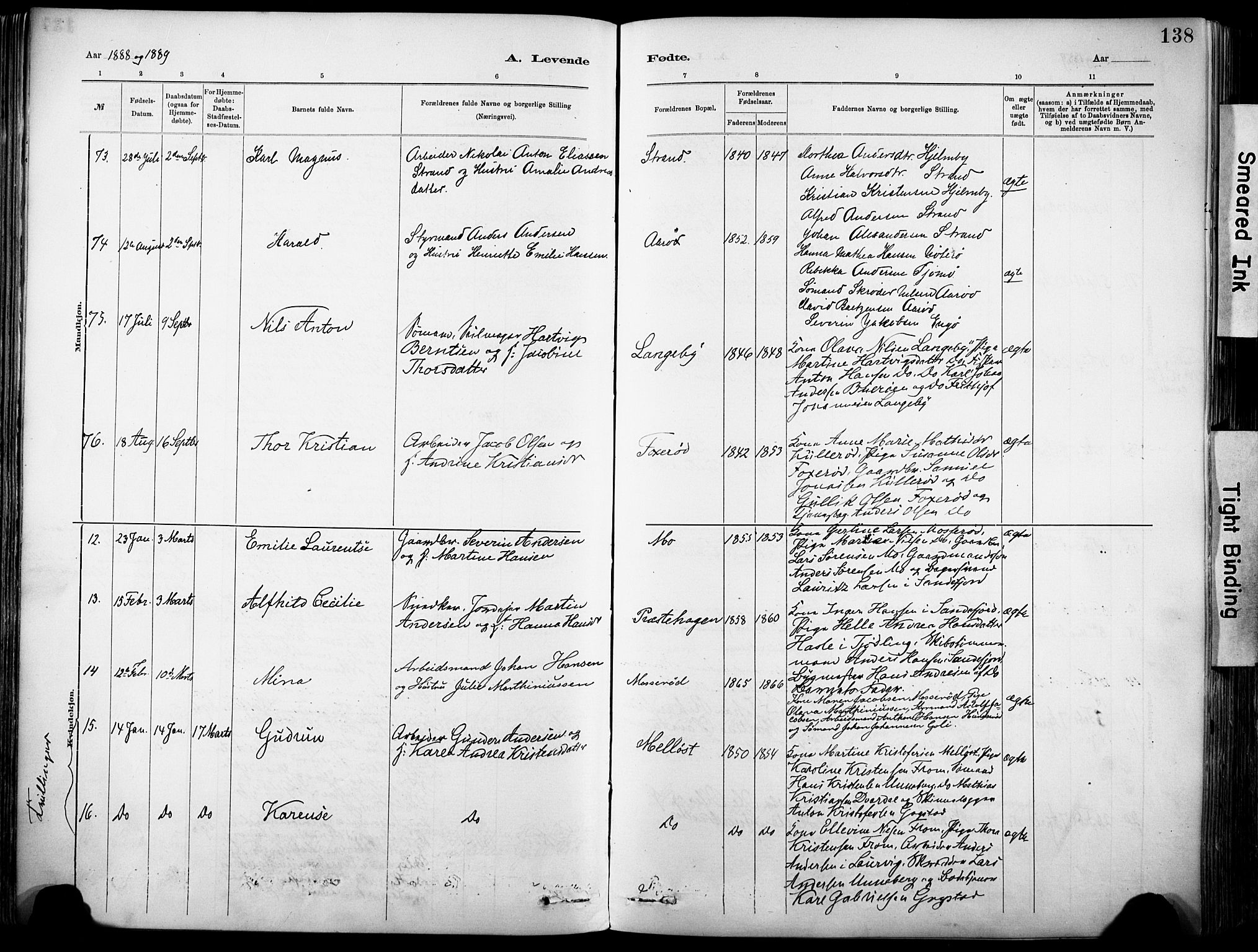 Sandar kirkebøker, SAKO/A-243/F/Fa/L0012: Parish register (official) no. 12, 1883-1895, p. 138