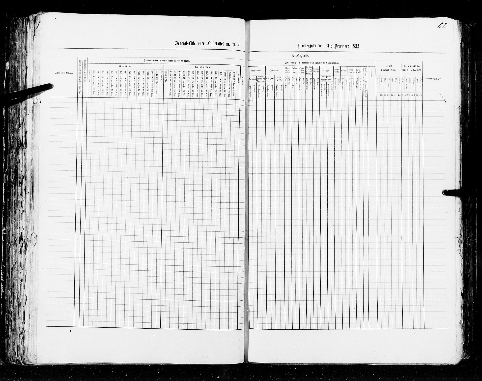 RA, Census 1855, vol. 2: Kristians amt, Buskerud amt og Jarlsberg og Larvik amt, 1855, p. 122