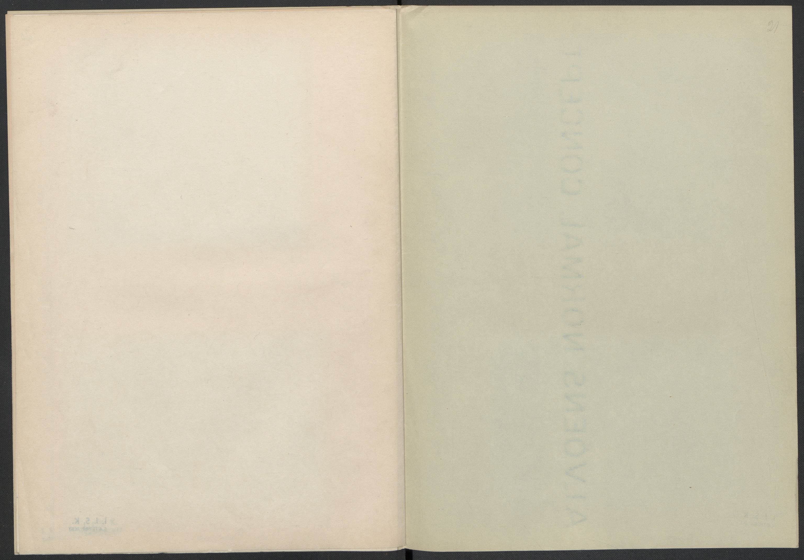 Instituttet for sammenlignende kulturforskning, AV/RA-PA-0424/F/Fc/L0008/0001: Eske B8: / Aust-Agder (perm XIX), 1932-1938, p. 21