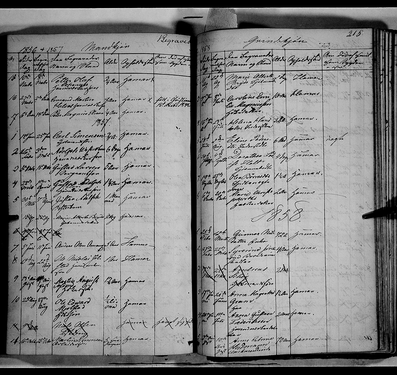 Vang prestekontor, Hedmark, SAH/PREST-008/H/Ha/Haa/L0011: Parish register (official) no. 11, 1852-1877, p. 215
