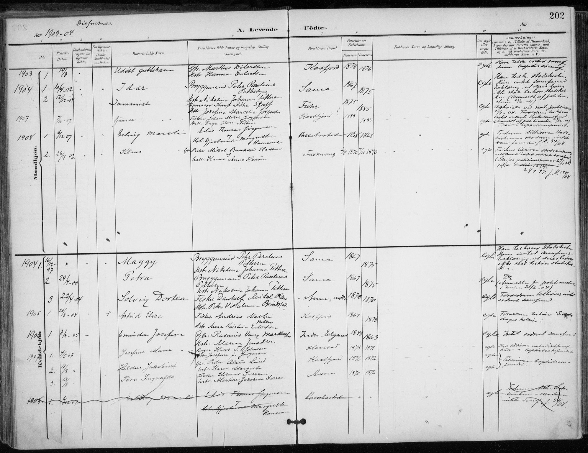 Trondenes sokneprestkontor, SATØ/S-1319/H/Ha/L0017kirke: Parish register (official) no. 17, 1899-1908, p. 202