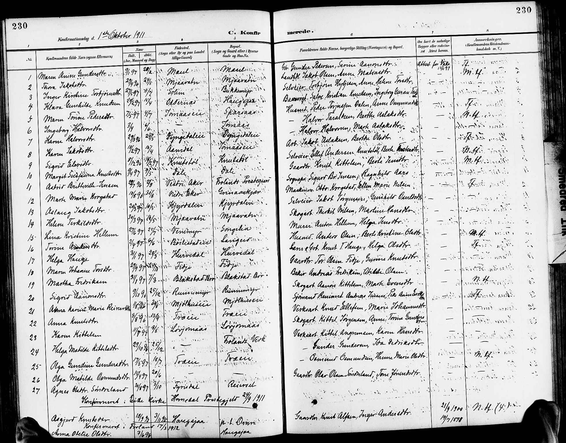 Froland sokneprestkontor, SAK/1111-0013/F/Fb/L0010: Parish register (copy) no. B 10, 1893-1920, p. 230