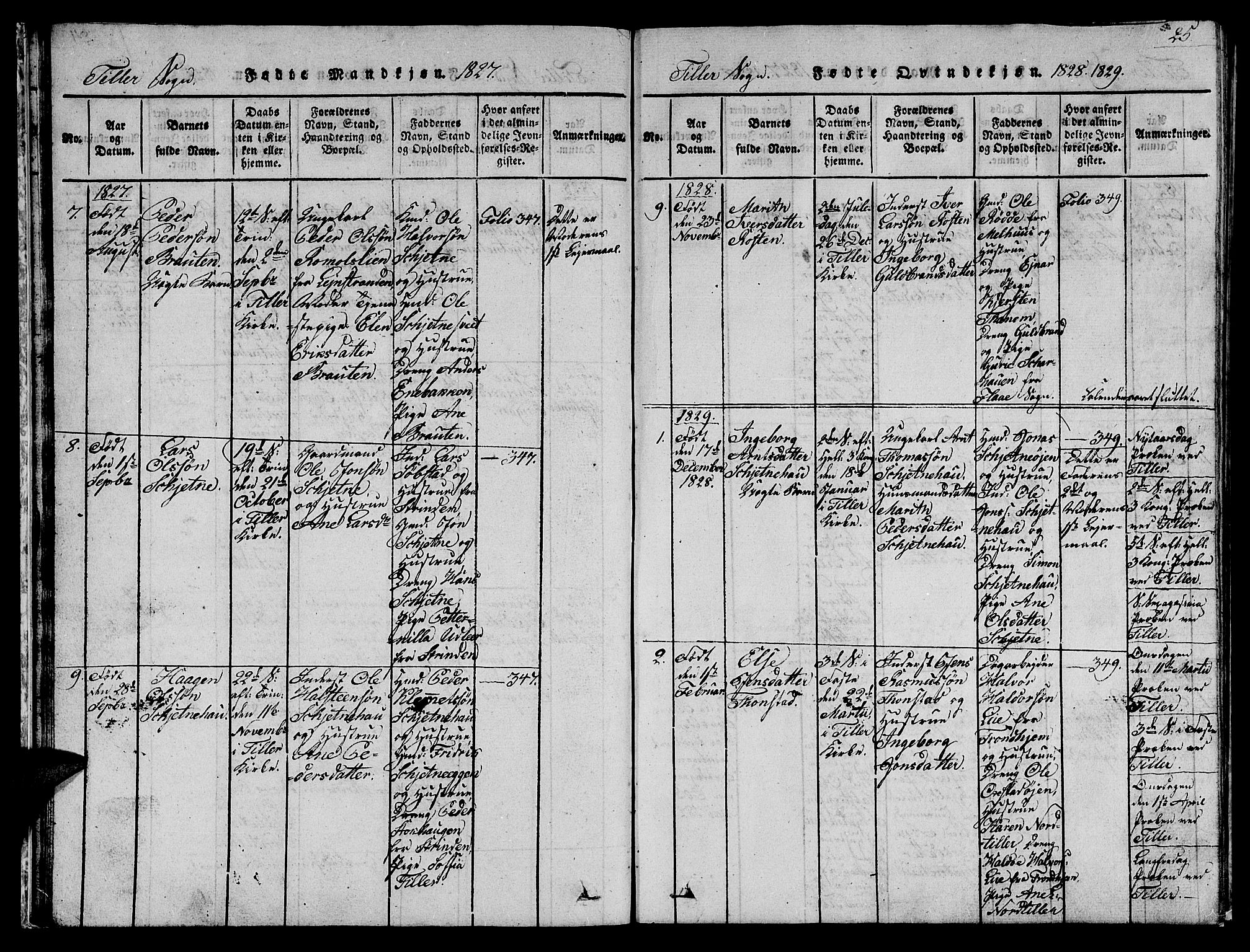 Ministerialprotokoller, klokkerbøker og fødselsregistre - Sør-Trøndelag, SAT/A-1456/621/L0458: Parish register (copy) no. 621C01, 1816-1865, p. 25