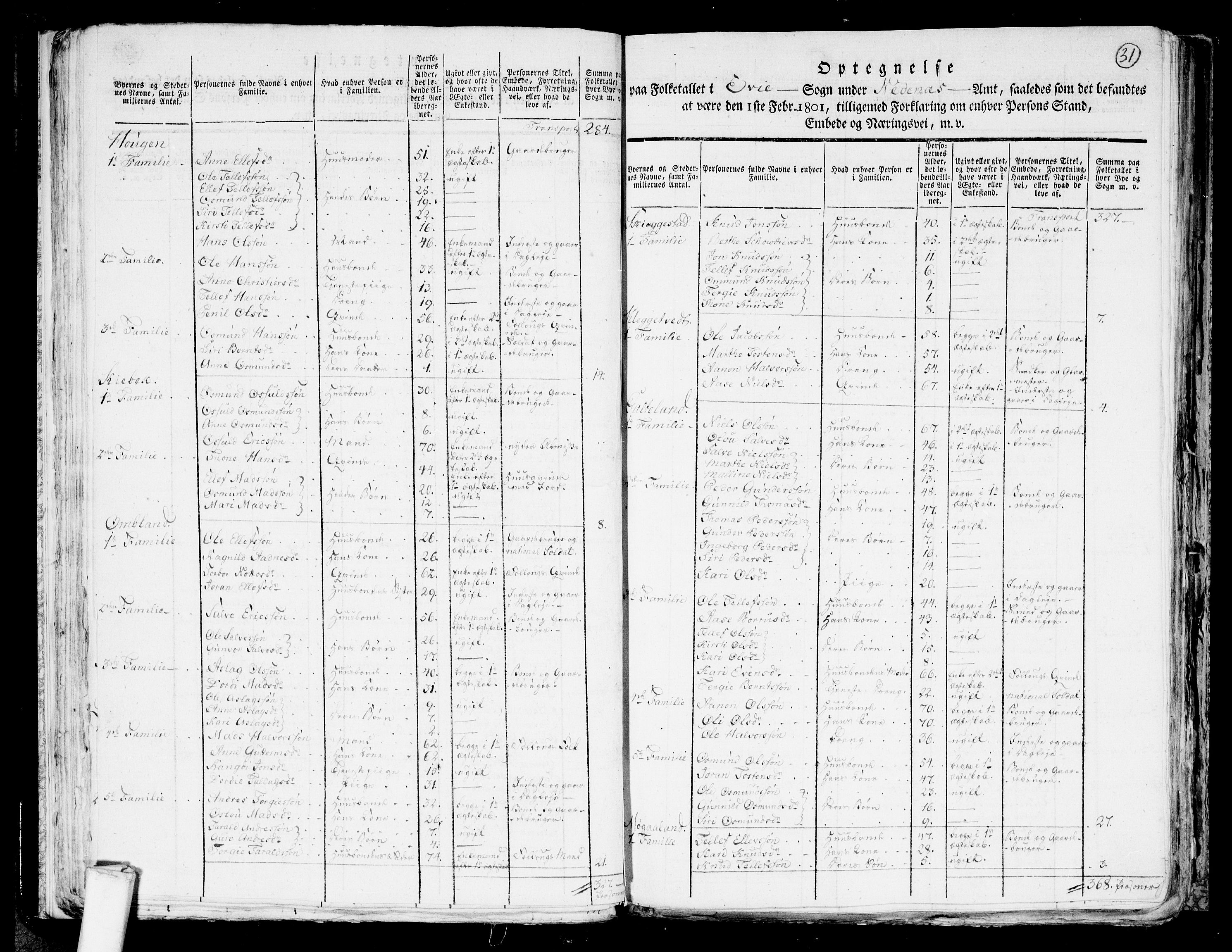 RA, 1801 census for 0934P Evje, 1801, p. 30b-31a