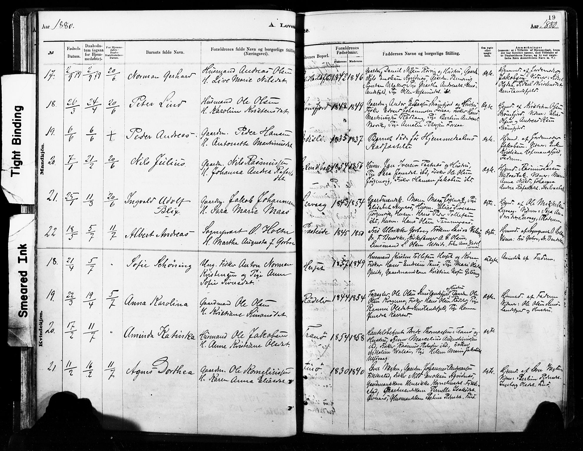 Ministerialprotokoller, klokkerbøker og fødselsregistre - Nordland, SAT/A-1459/859/L0846: Parish register (official) no. 859A06, 1878-1889, p. 19