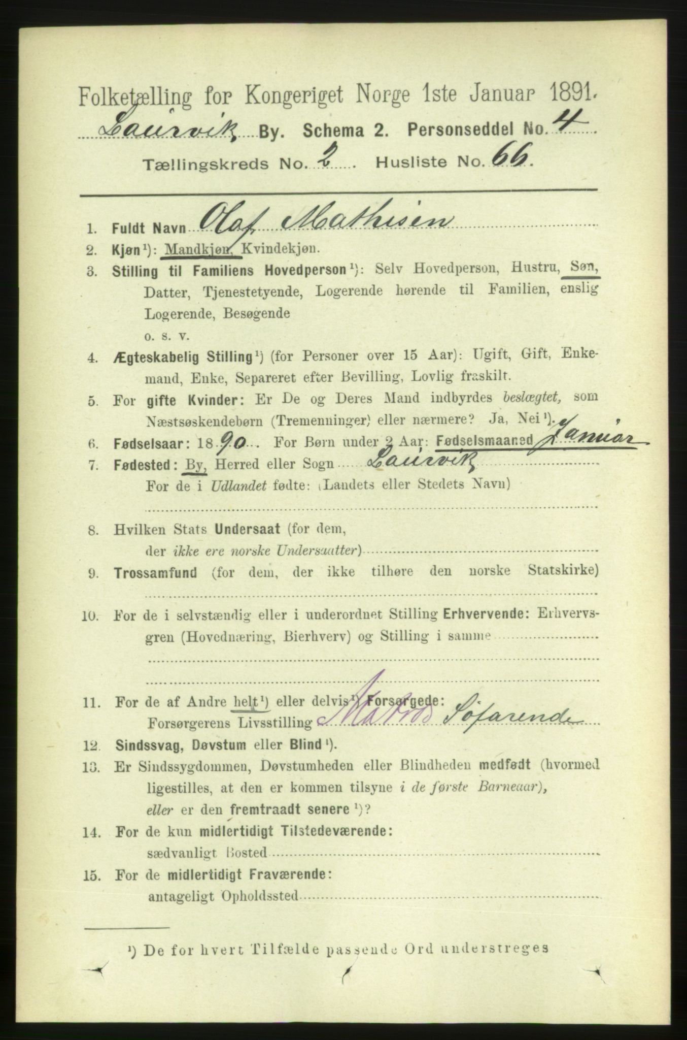 RA, 1891 census for 0707 Larvik, 1891, p. 4055