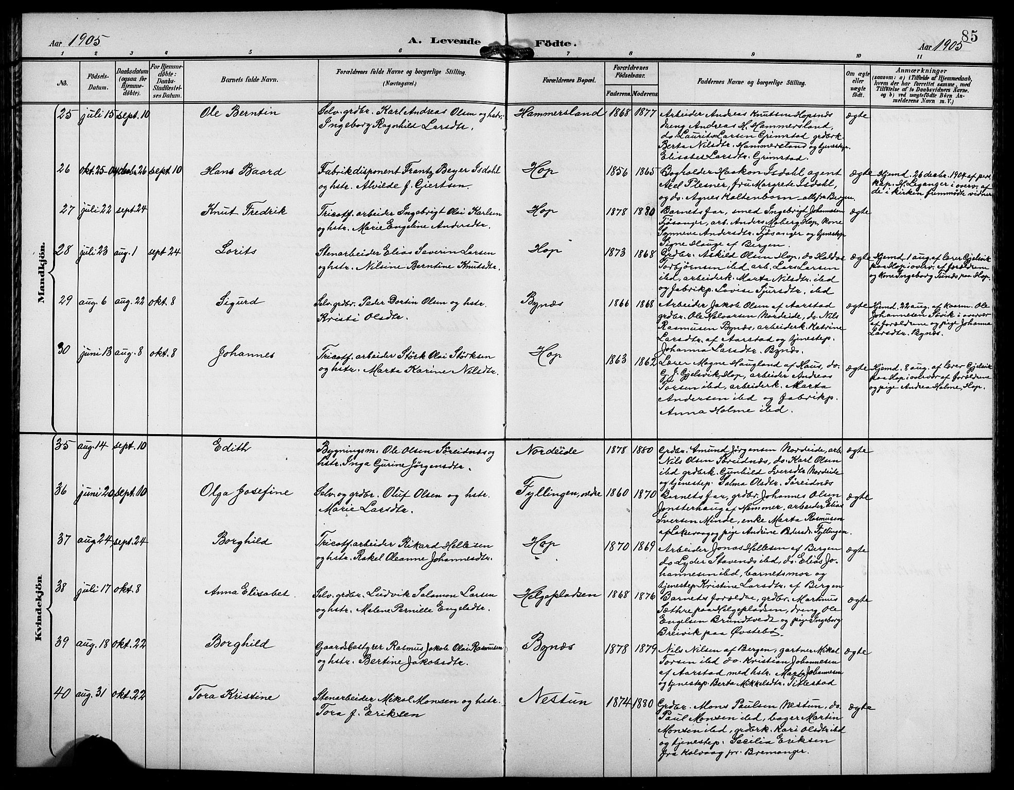 Birkeland Sokneprestembete, AV/SAB-A-74601/H/Hab: Parish register (copy) no. A 5, 1897-1905, p. 85