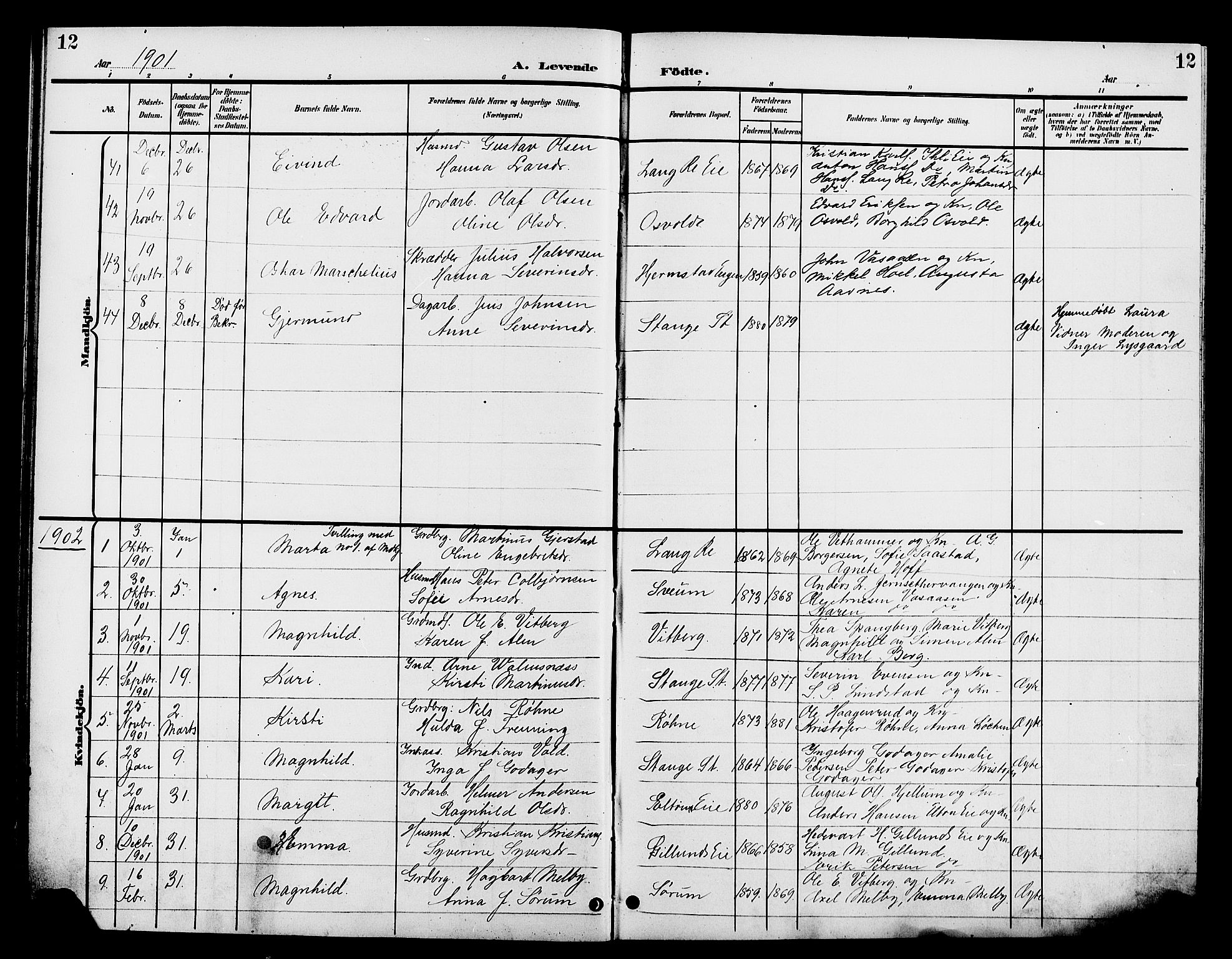 Stange prestekontor, SAH/PREST-002/L/L0012: Parish register (copy) no. 12, 1900-1908, p. 12