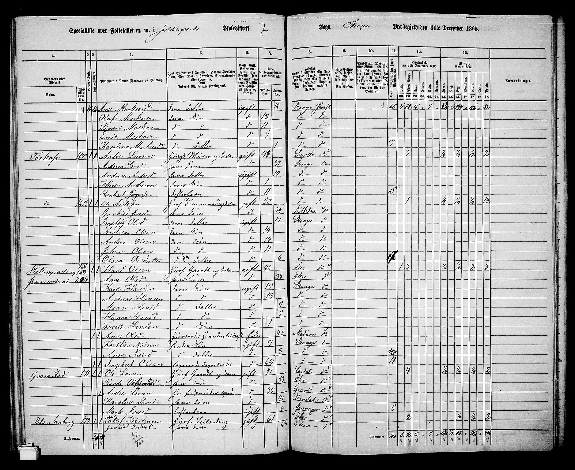 RA, 1865 census for Skoger, 1865, p. 97