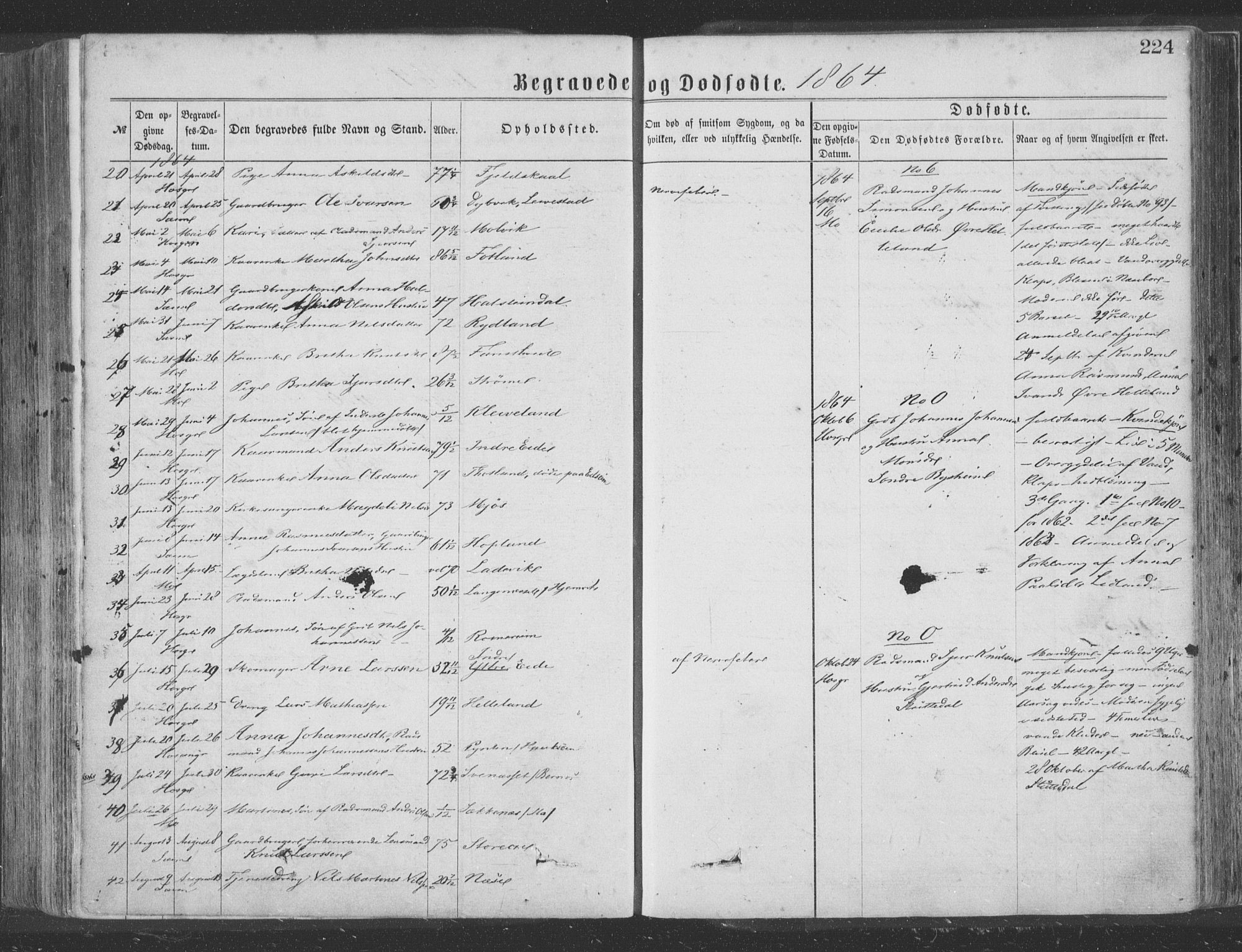 Hosanger sokneprestembete, AV/SAB-A-75801/H/Haa: Parish register (official) no. A 9, 1864-1876, p. 224