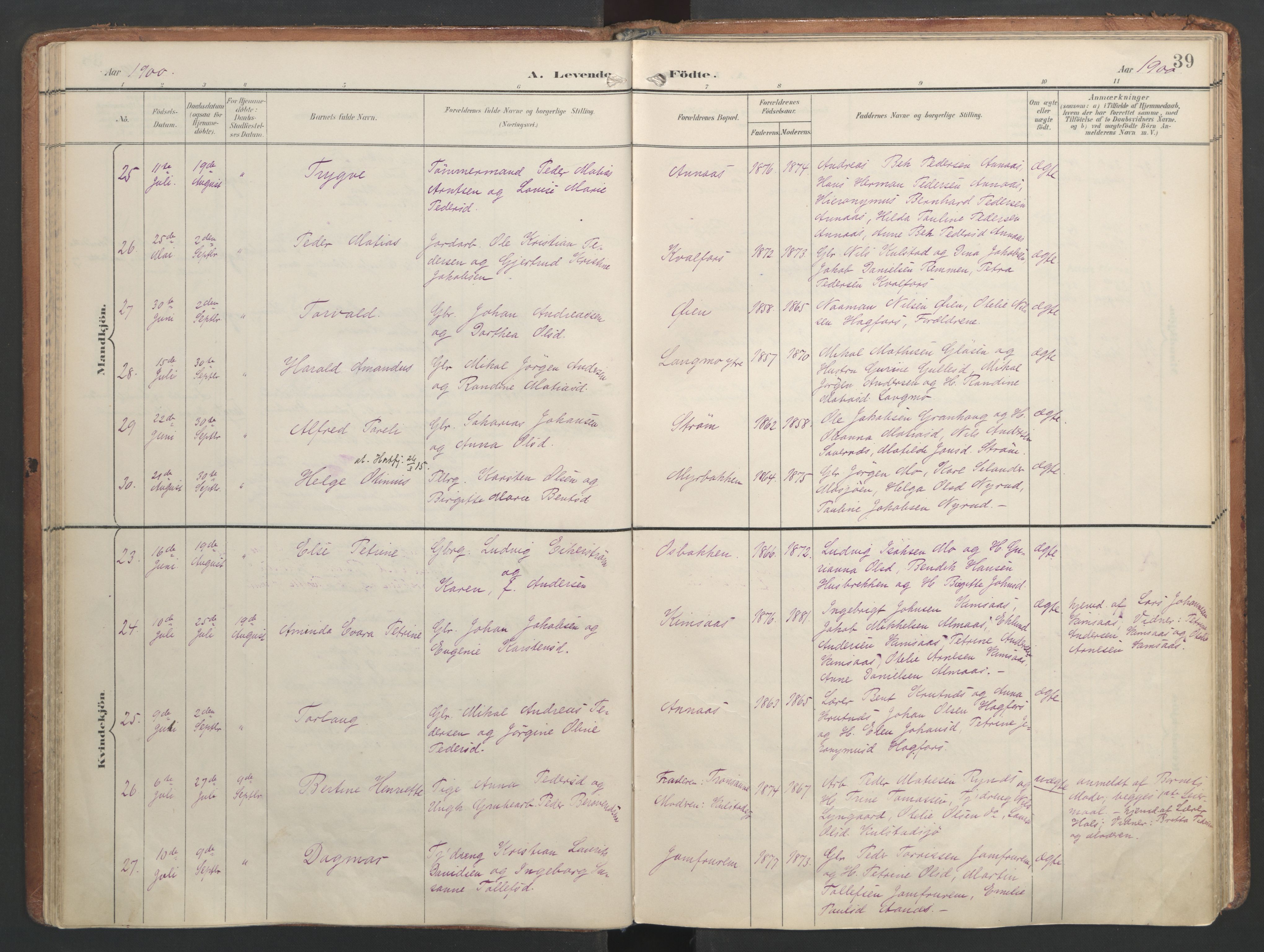 Ministerialprotokoller, klokkerbøker og fødselsregistre - Nordland, AV/SAT-A-1459/820/L0297: Parish register (official) no. 820A18, 1897-1917, p. 39