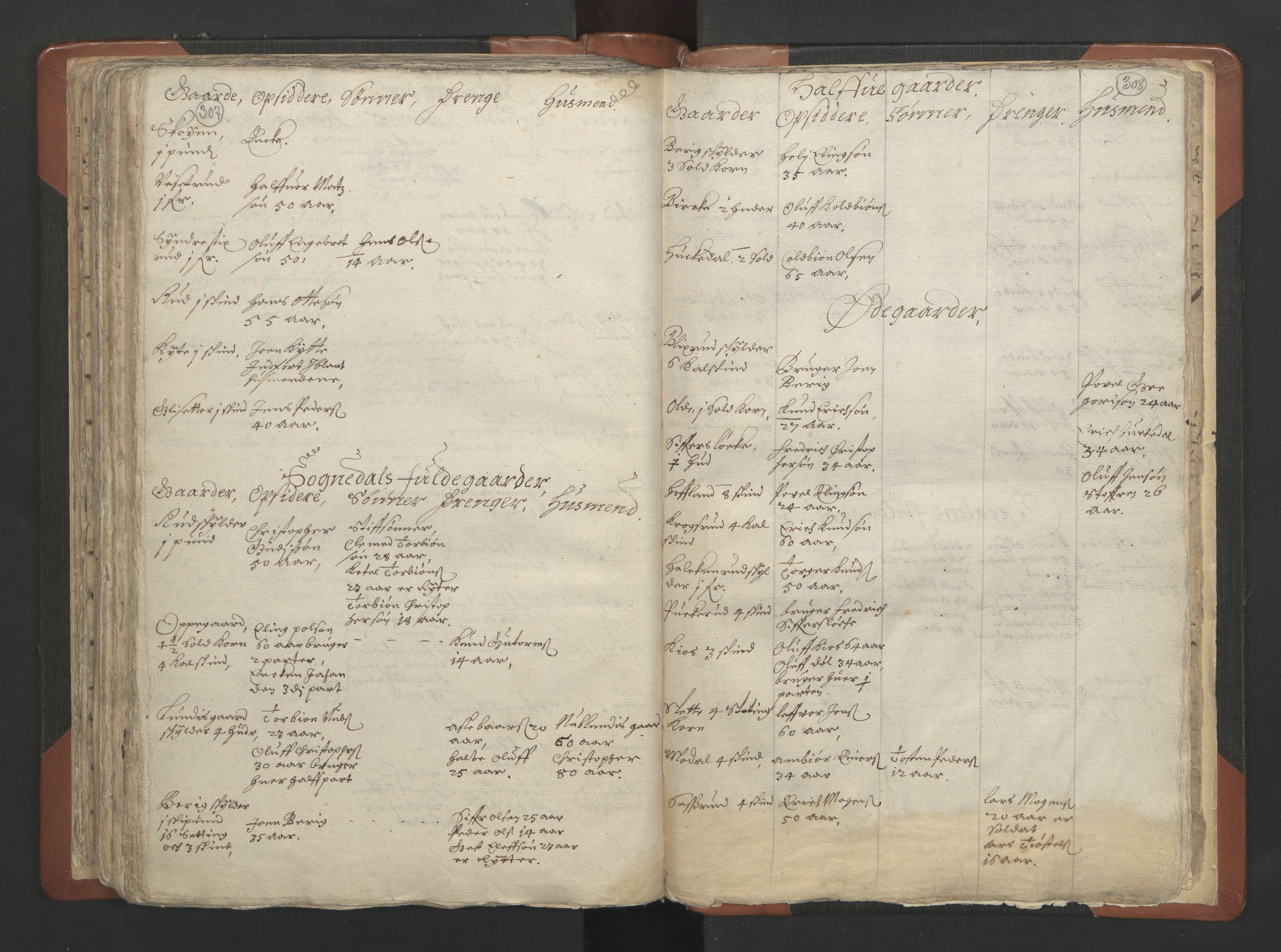 RA, Vicar's Census 1664-1666, no. 7: Hadeland deanery, 1664-1666, p. 307-308