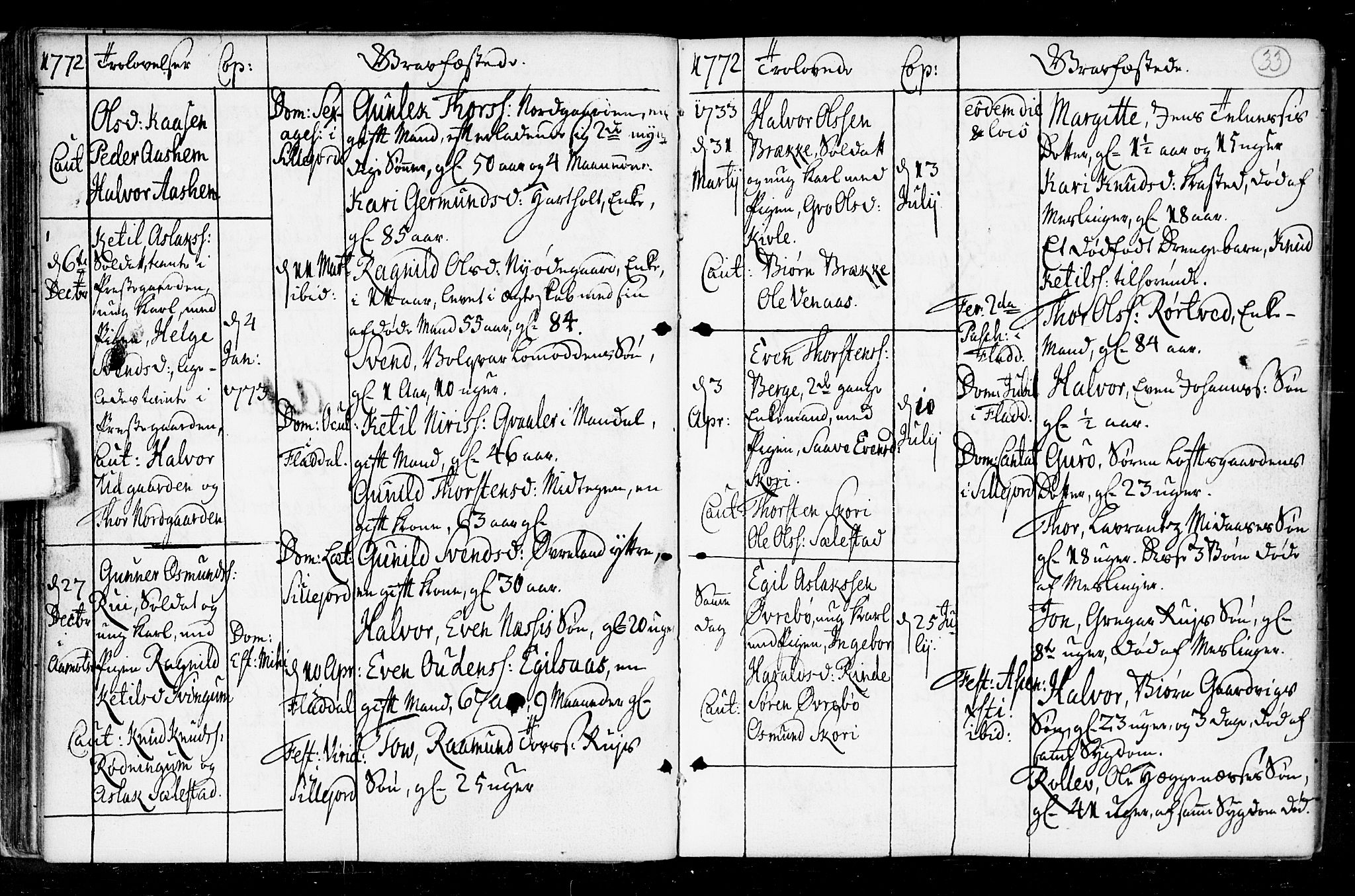 Seljord kirkebøker, AV/SAKO-A-20/F/Fa/L0008: Parish register (official) no. I 8, 1755-1814, p. 33